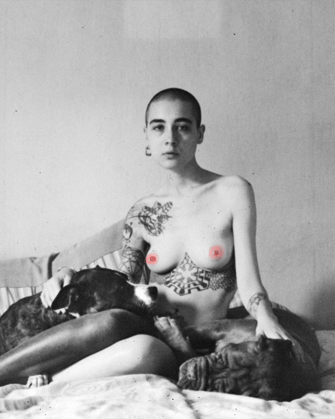 intervista stella germana fotografia nuova estetica di bellezza