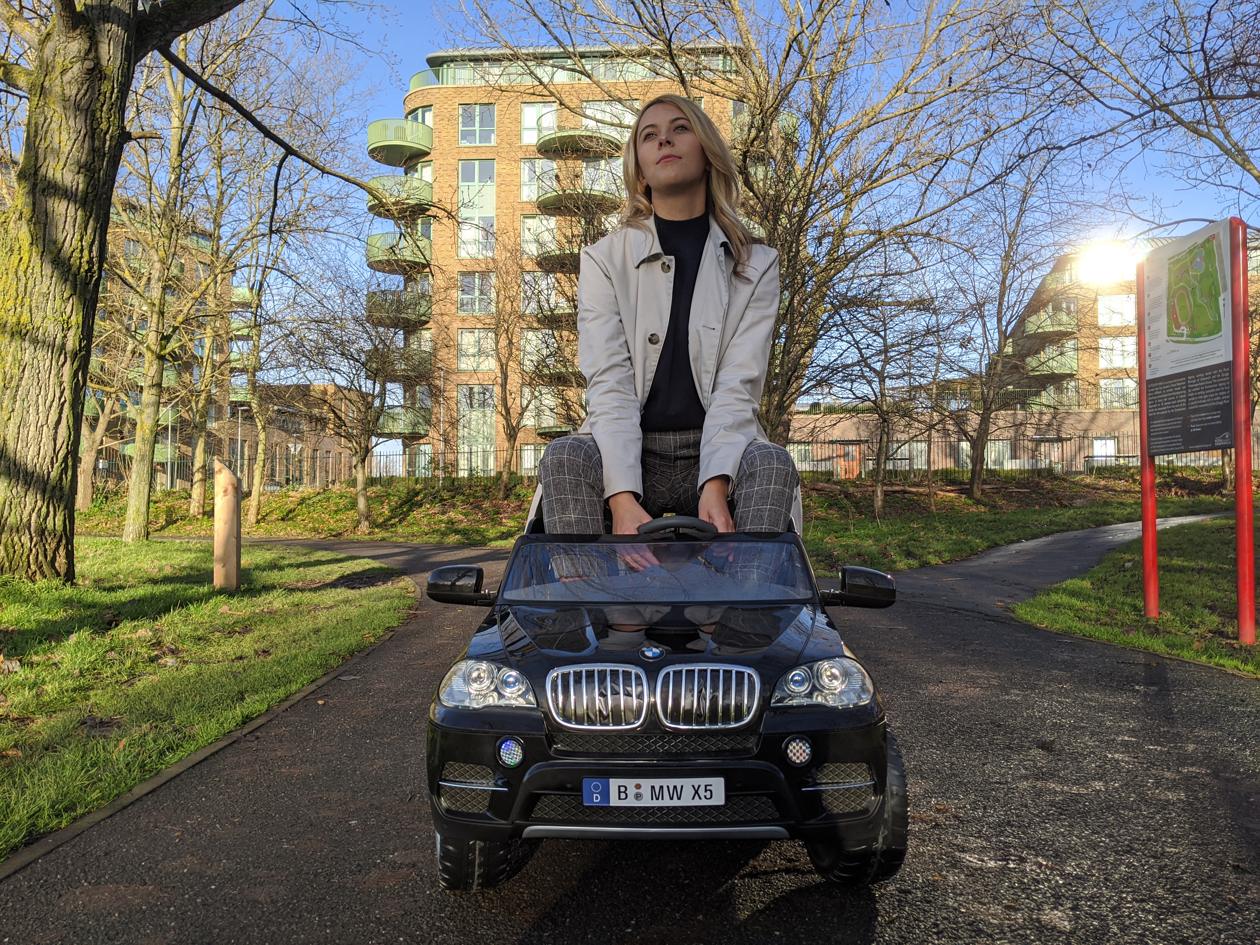 mini BMW X5
