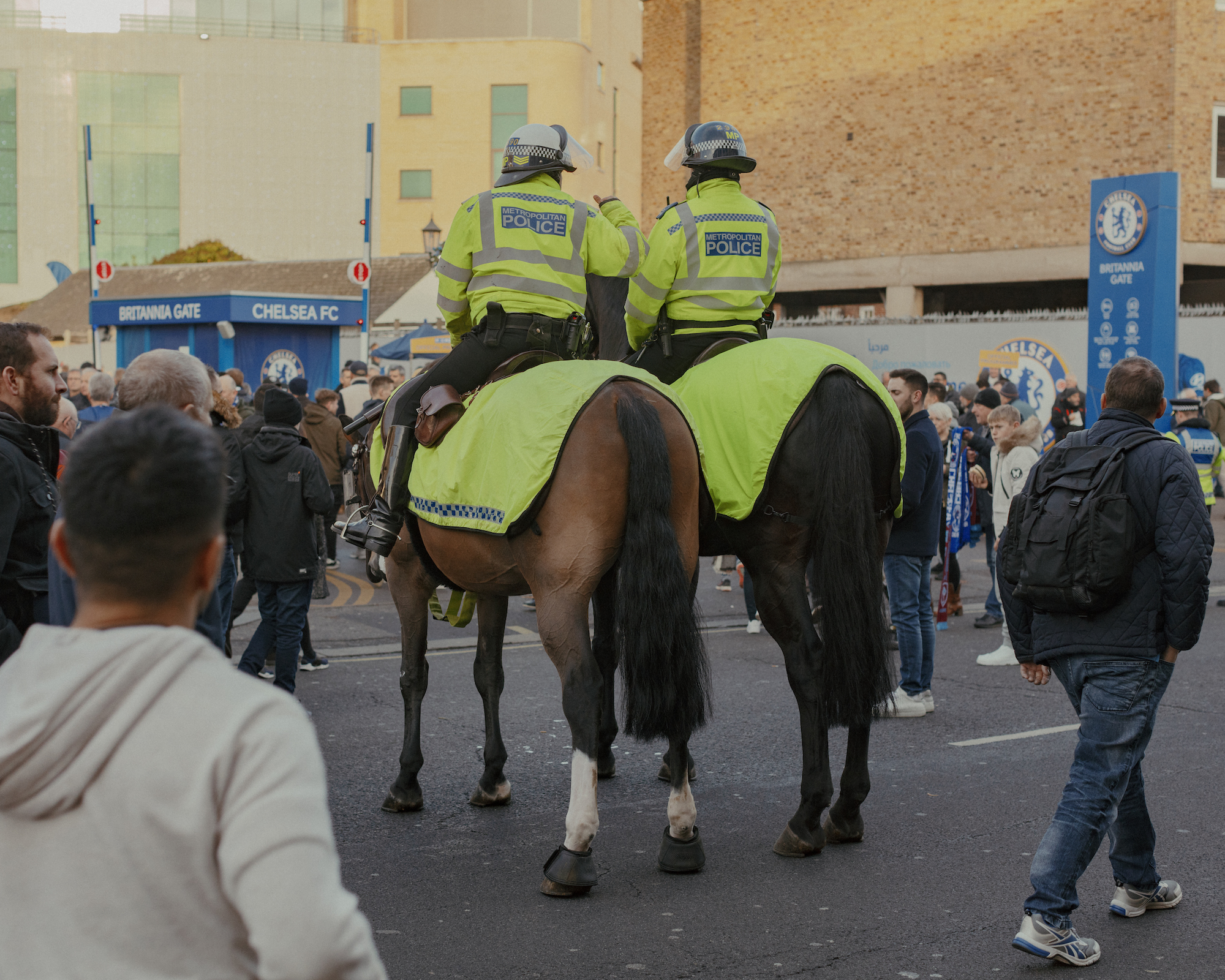 police horses stamford bridge