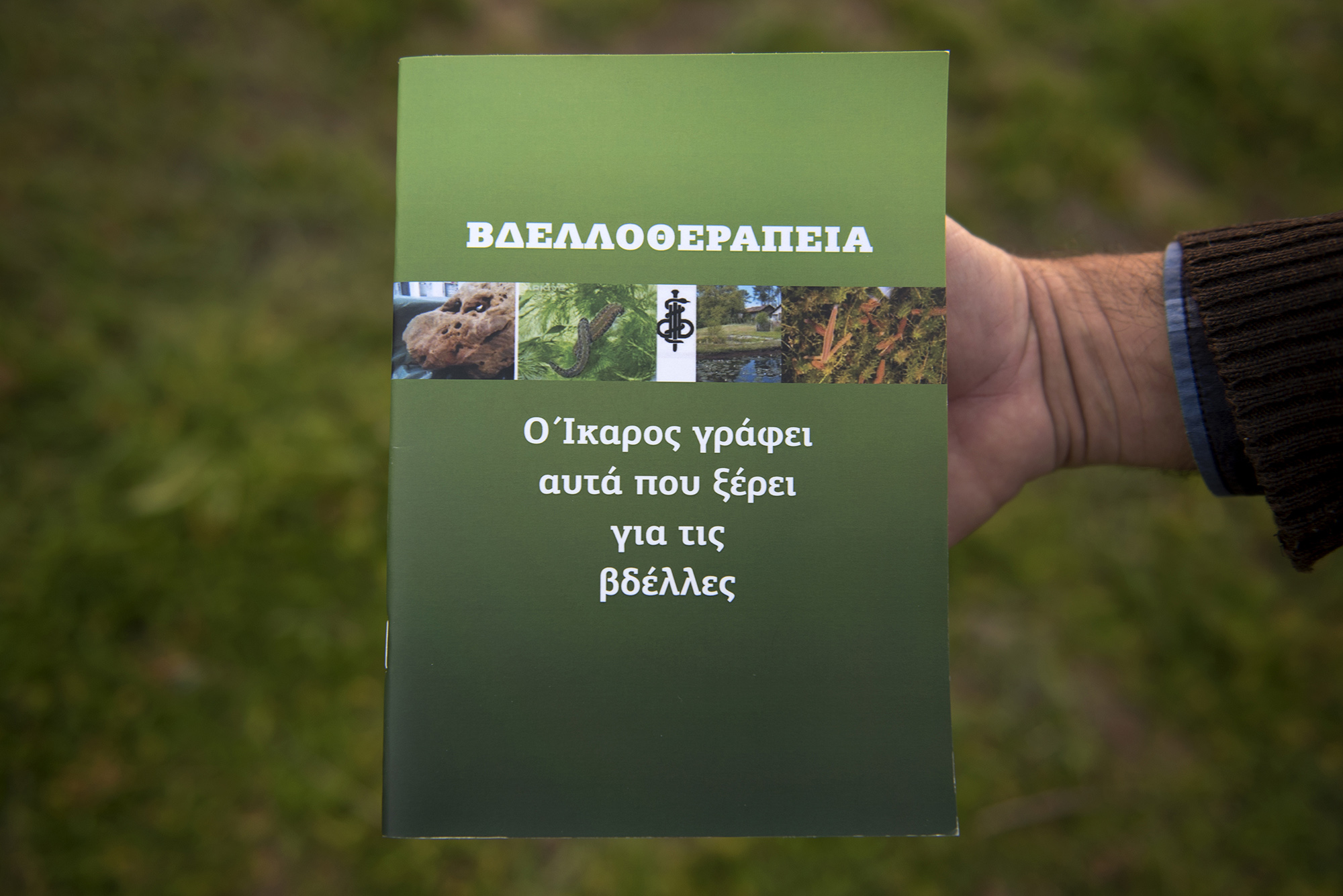 1576765059452-AAV_4467