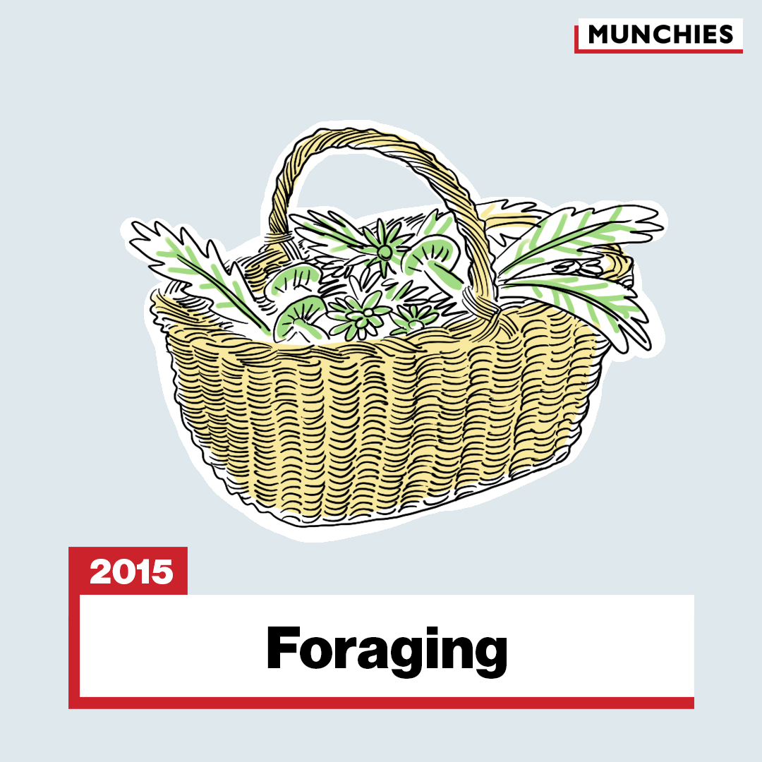 Foraging