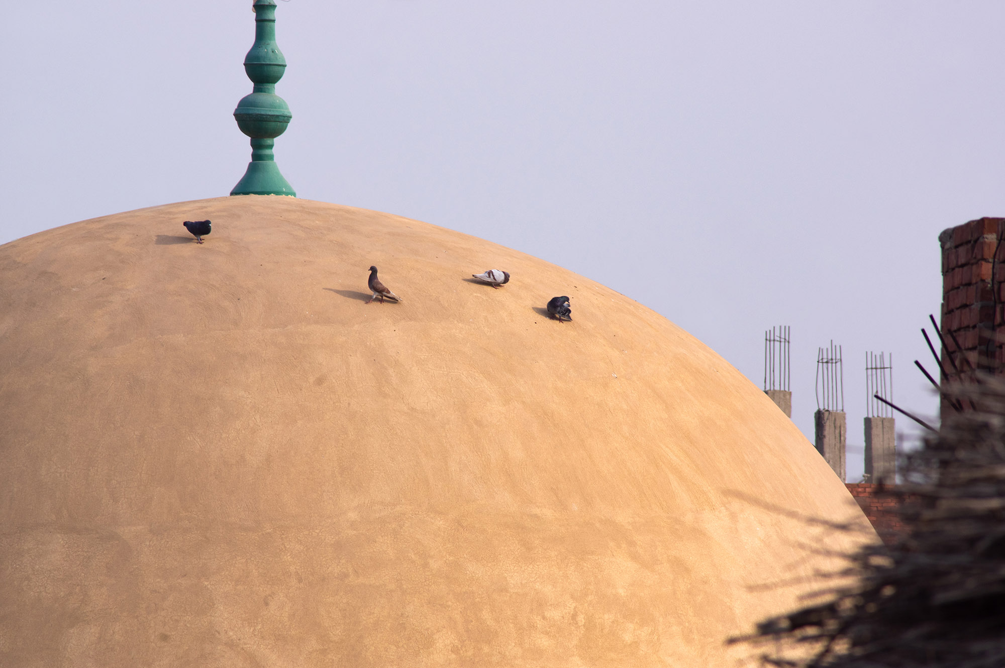1578388975625-egypte-moskee-duiven