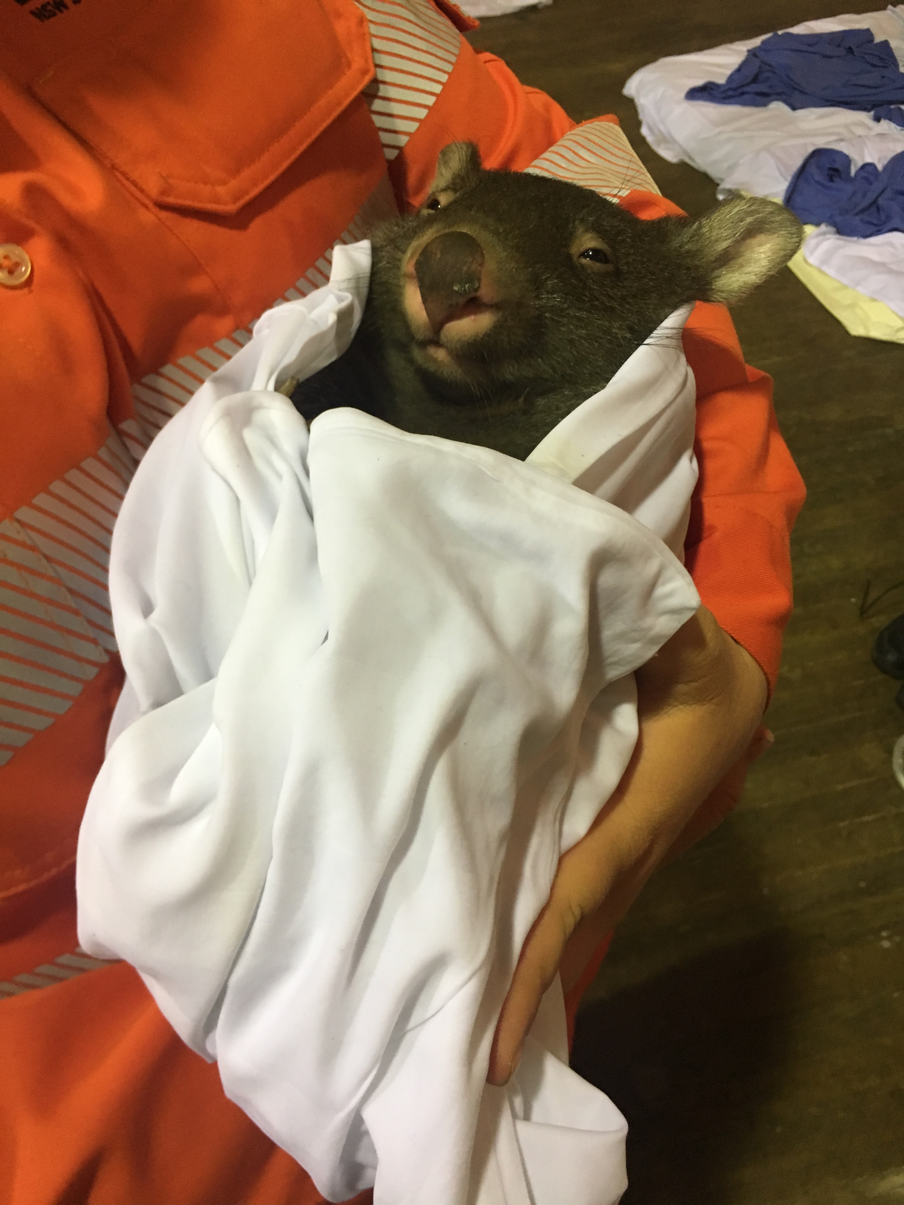 australia