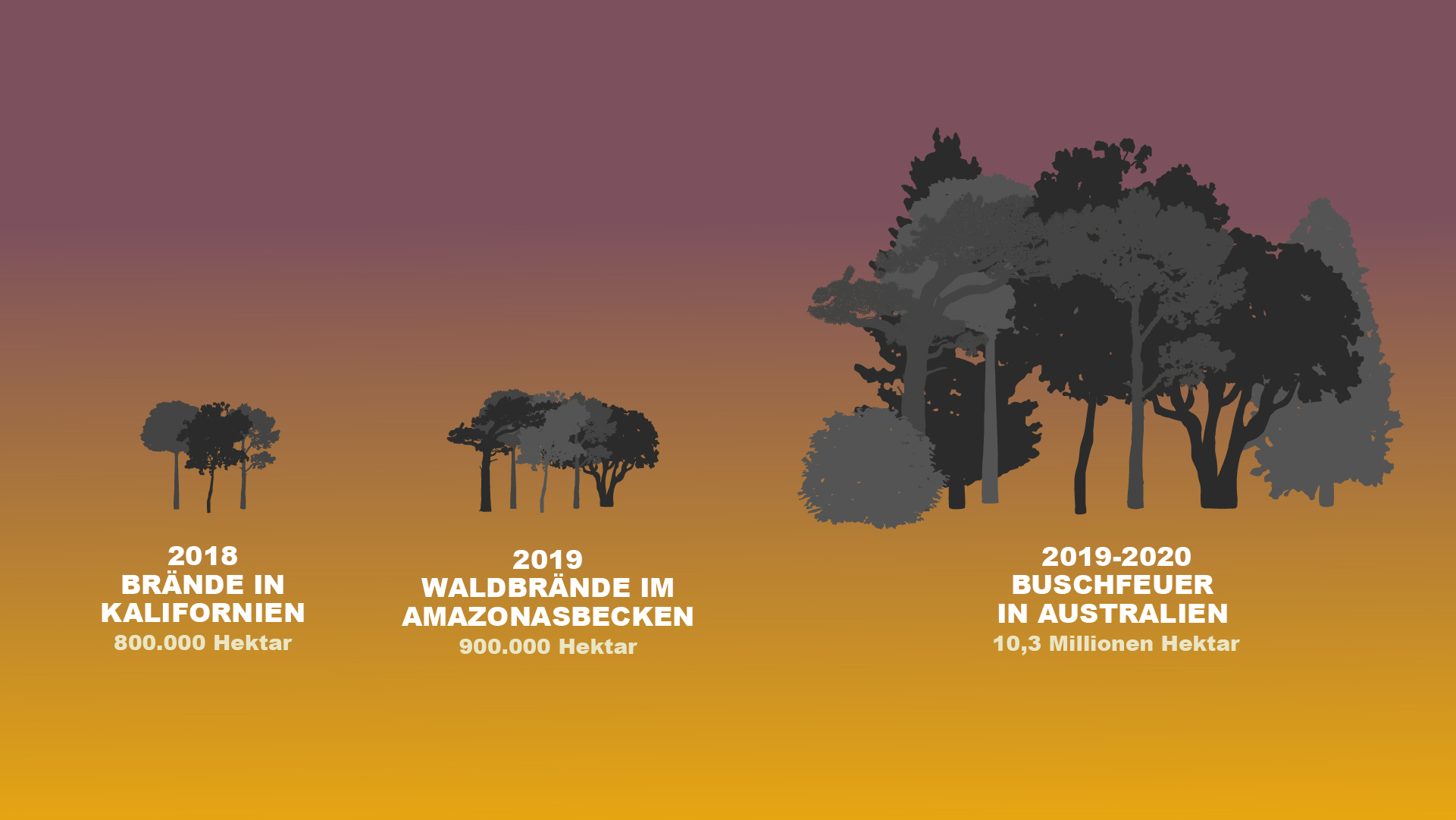 Ein Vergleich zwischen den Buschbränden in Australien und anderen Feuerkatastrophen