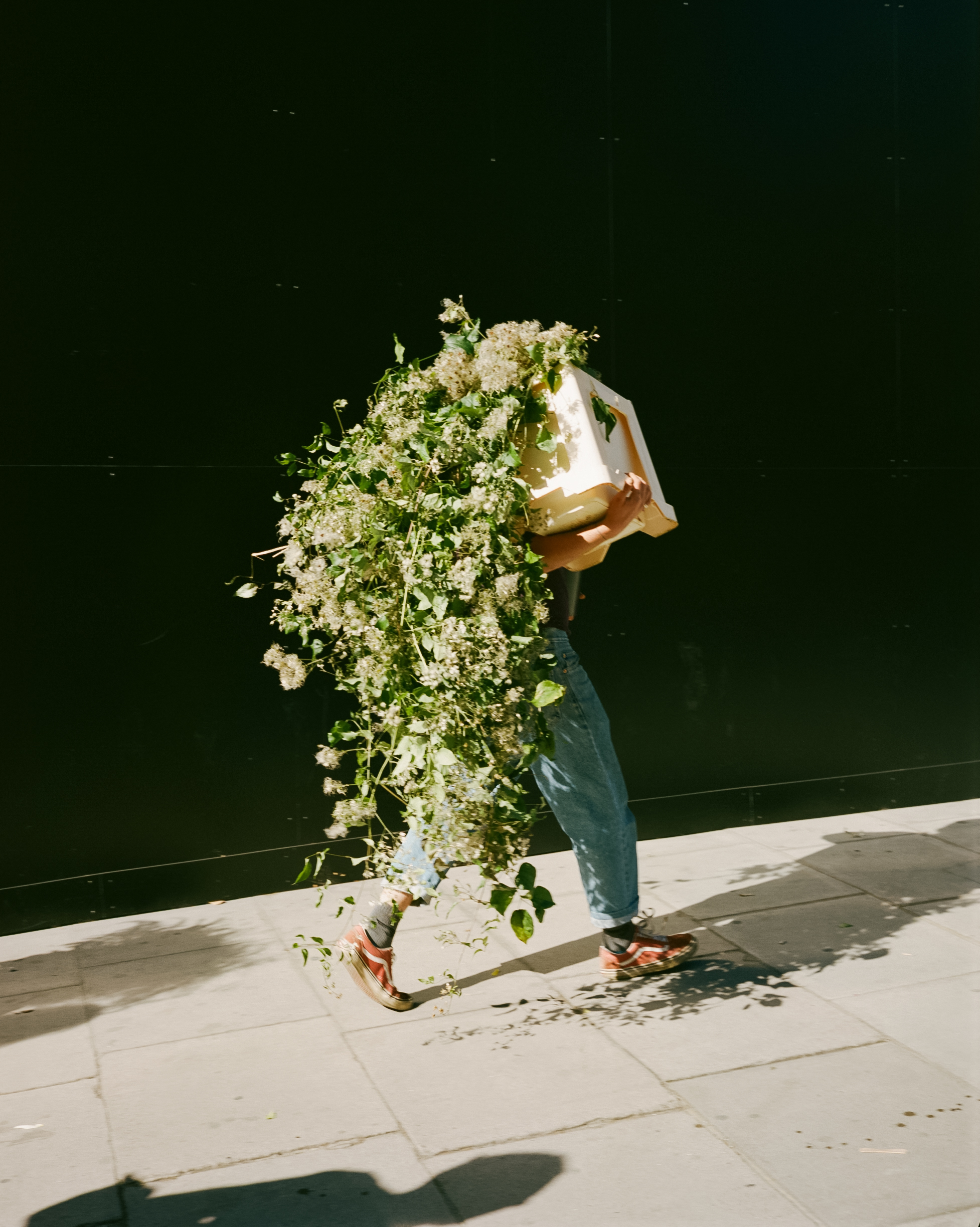 嶌村吉祥丸, HAUS STUDIO, photosynthesis, JINNAN HOUSE