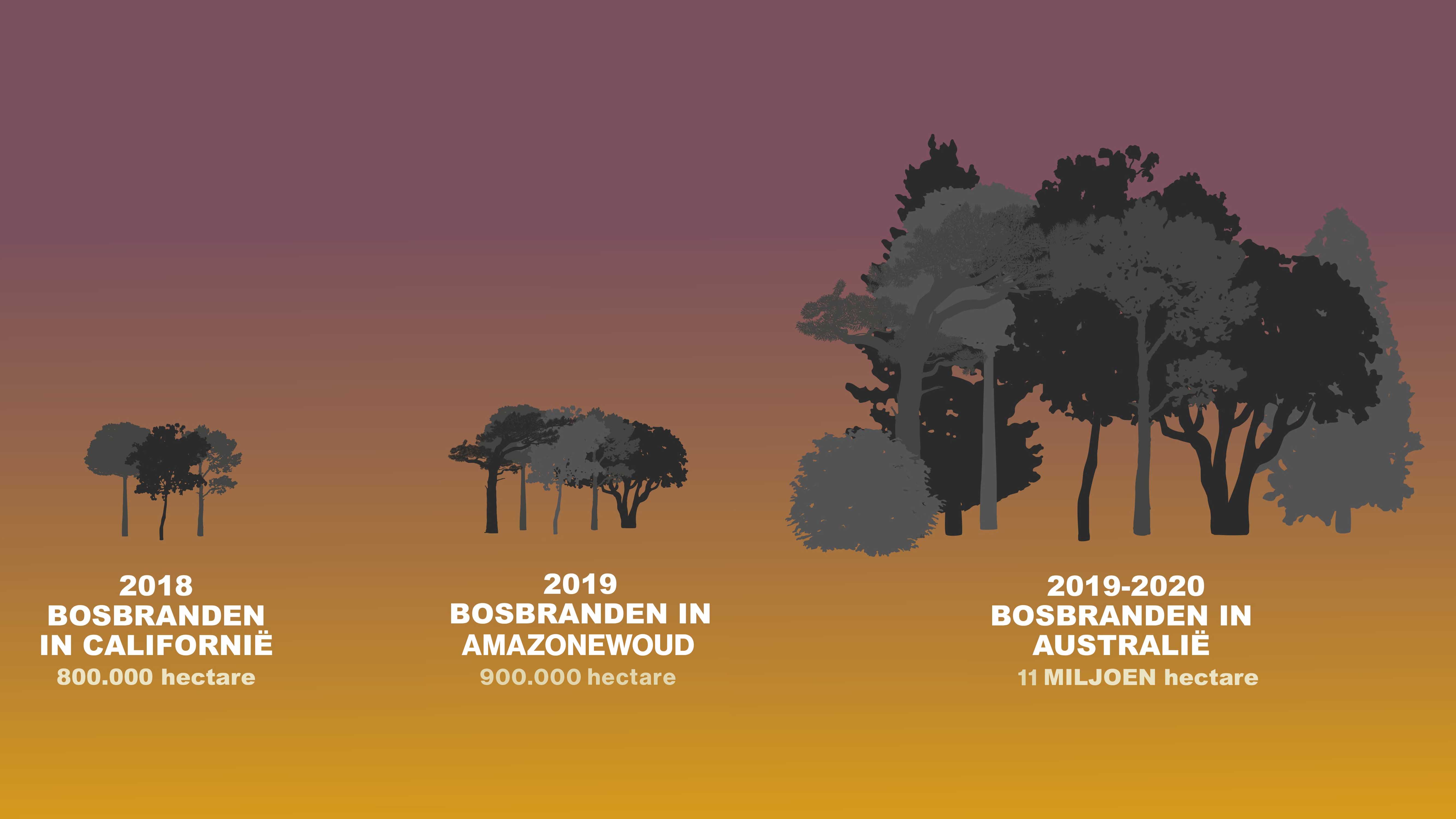 bosbranden Australie hectare beelden