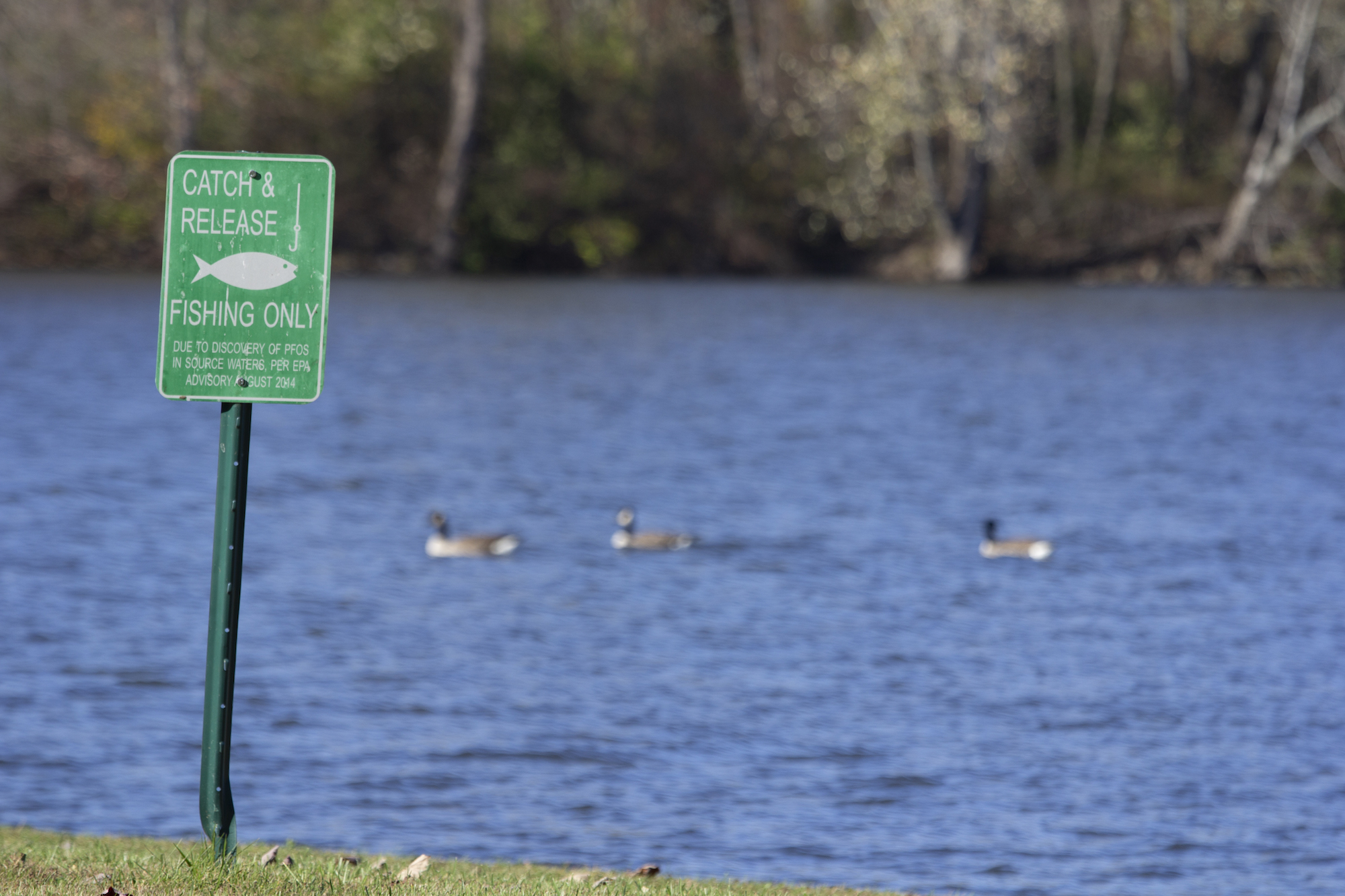 Catch and release sign at a Newburgh pond