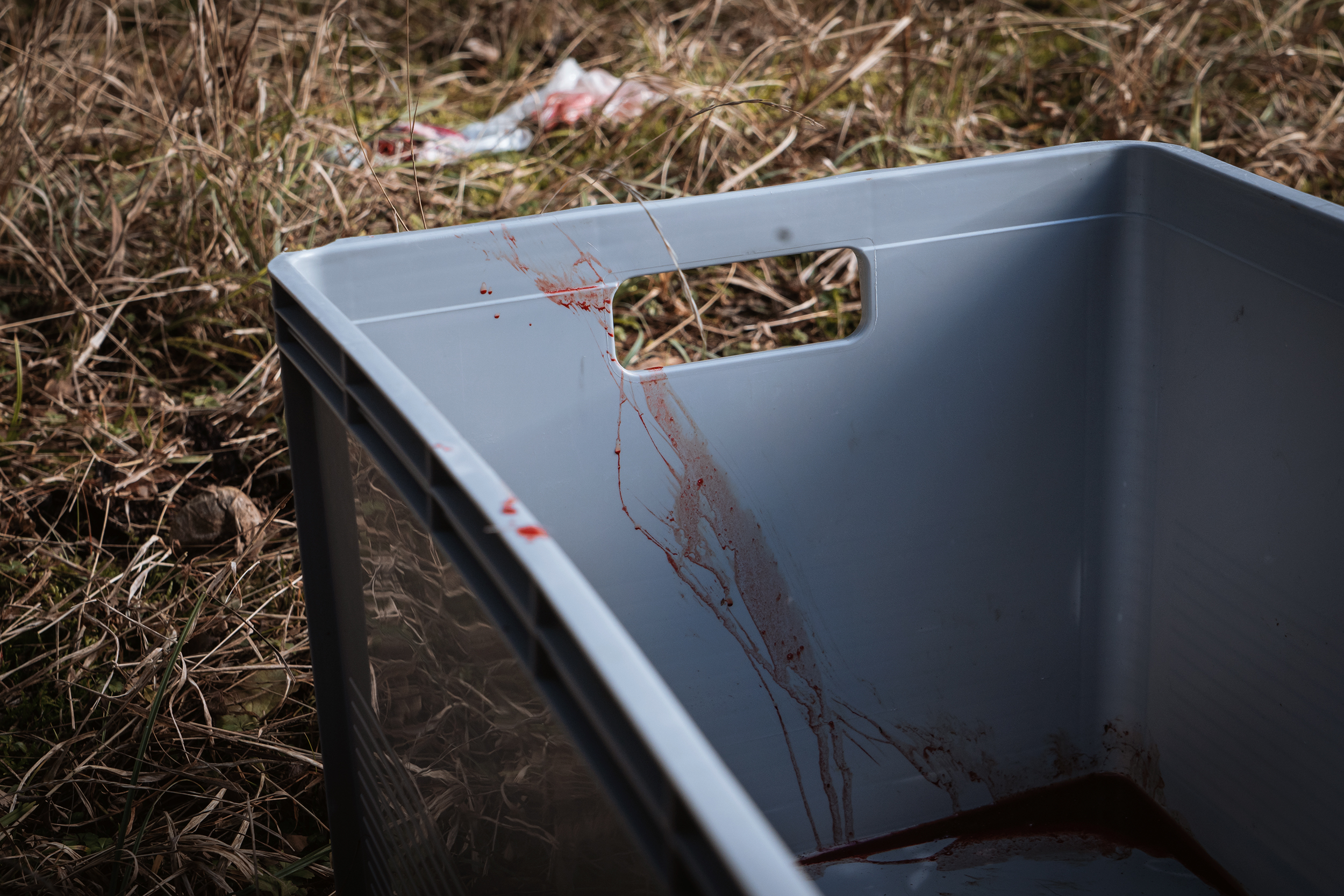 Eine Plastikbox mit Blutspuren drin