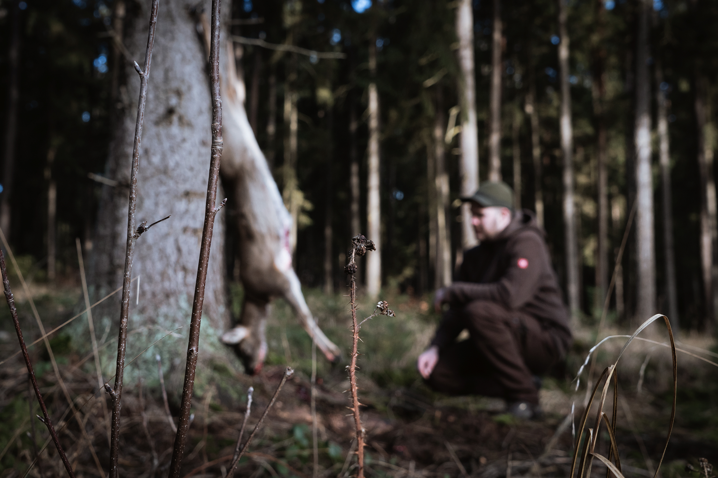 Das tote Reh hängt an einem Baum, Fabian kniet davor
