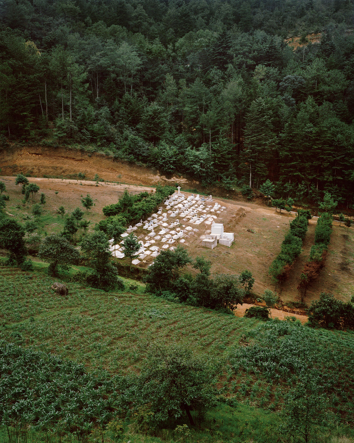 image of graveyard