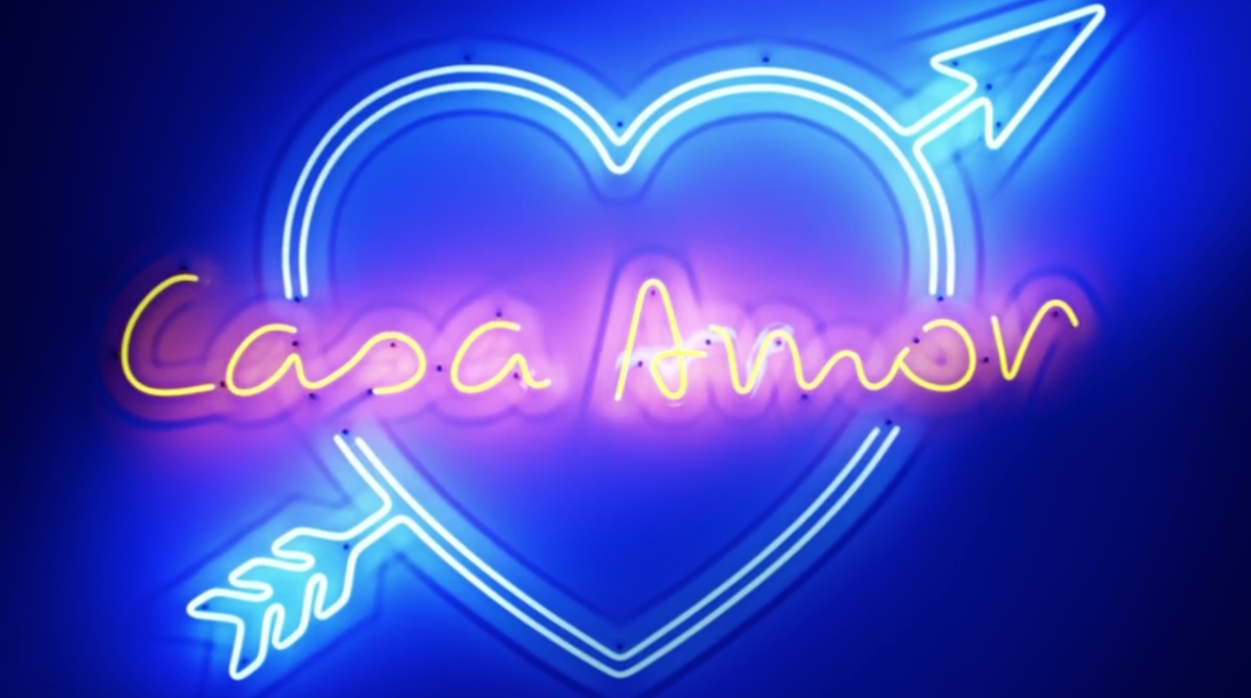 CASA AMOR LOVE ISLAND VICE