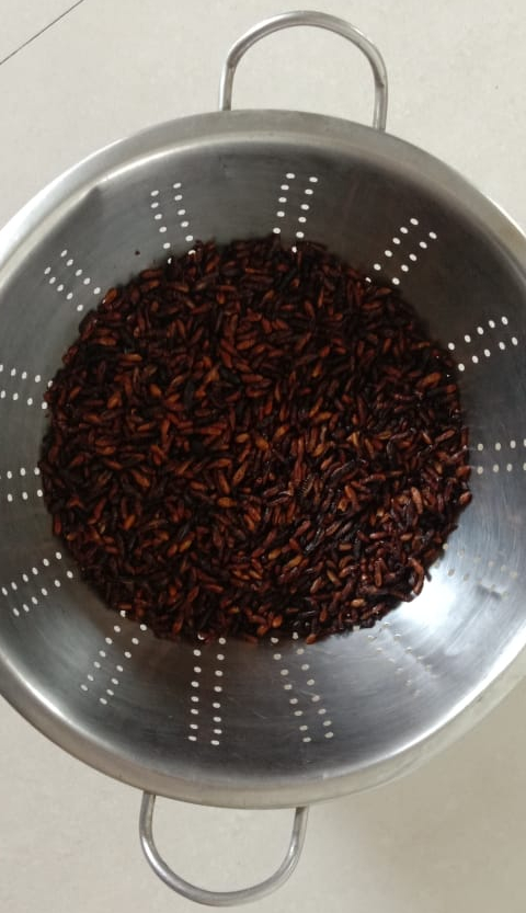 Winged termites being collected to roast and eat. Photo courtesy of Bhaskar Rao Eesam