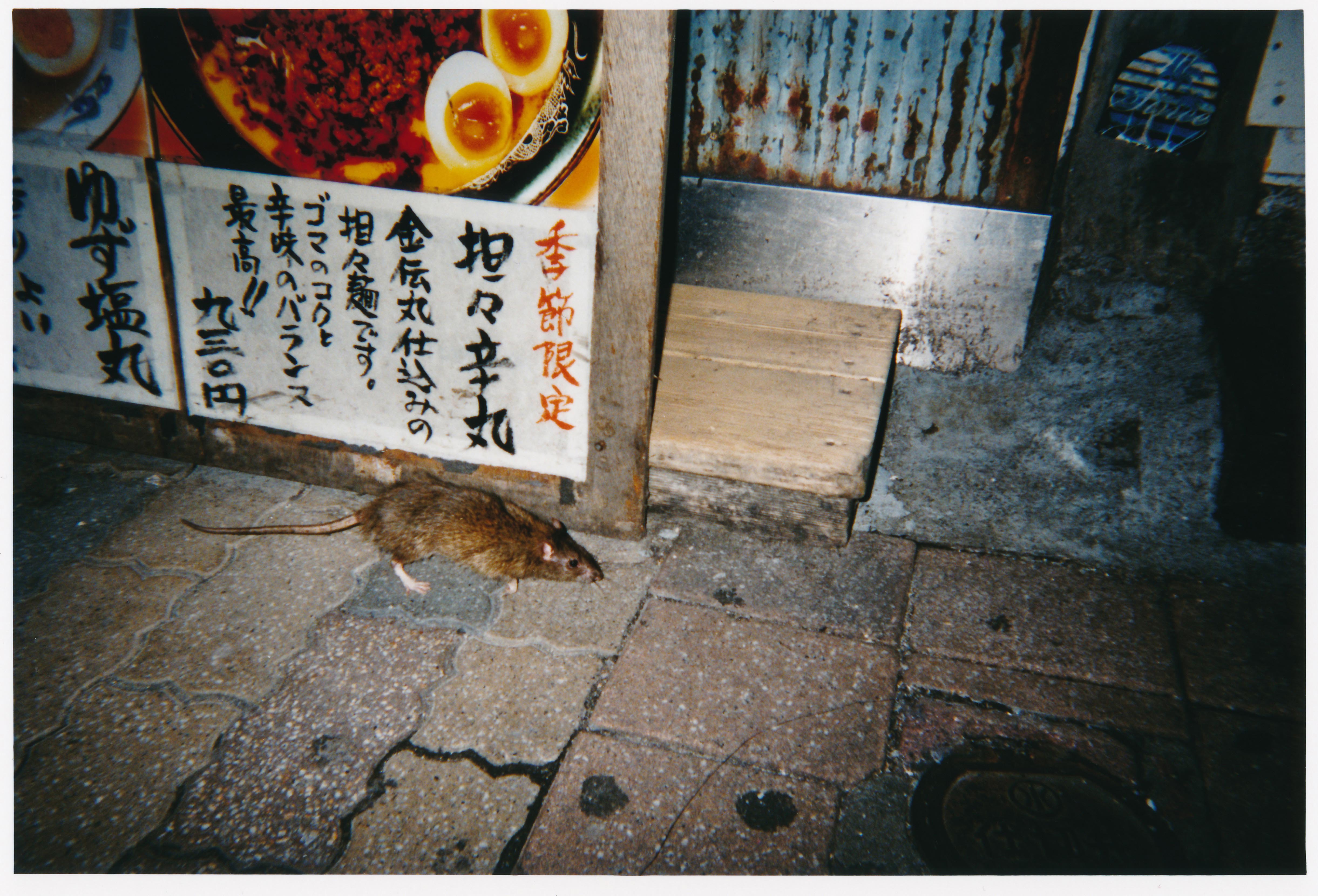 石川直樹 未知なる驚き の追求と 世界の相対化 という矛盾が同居する写真表現