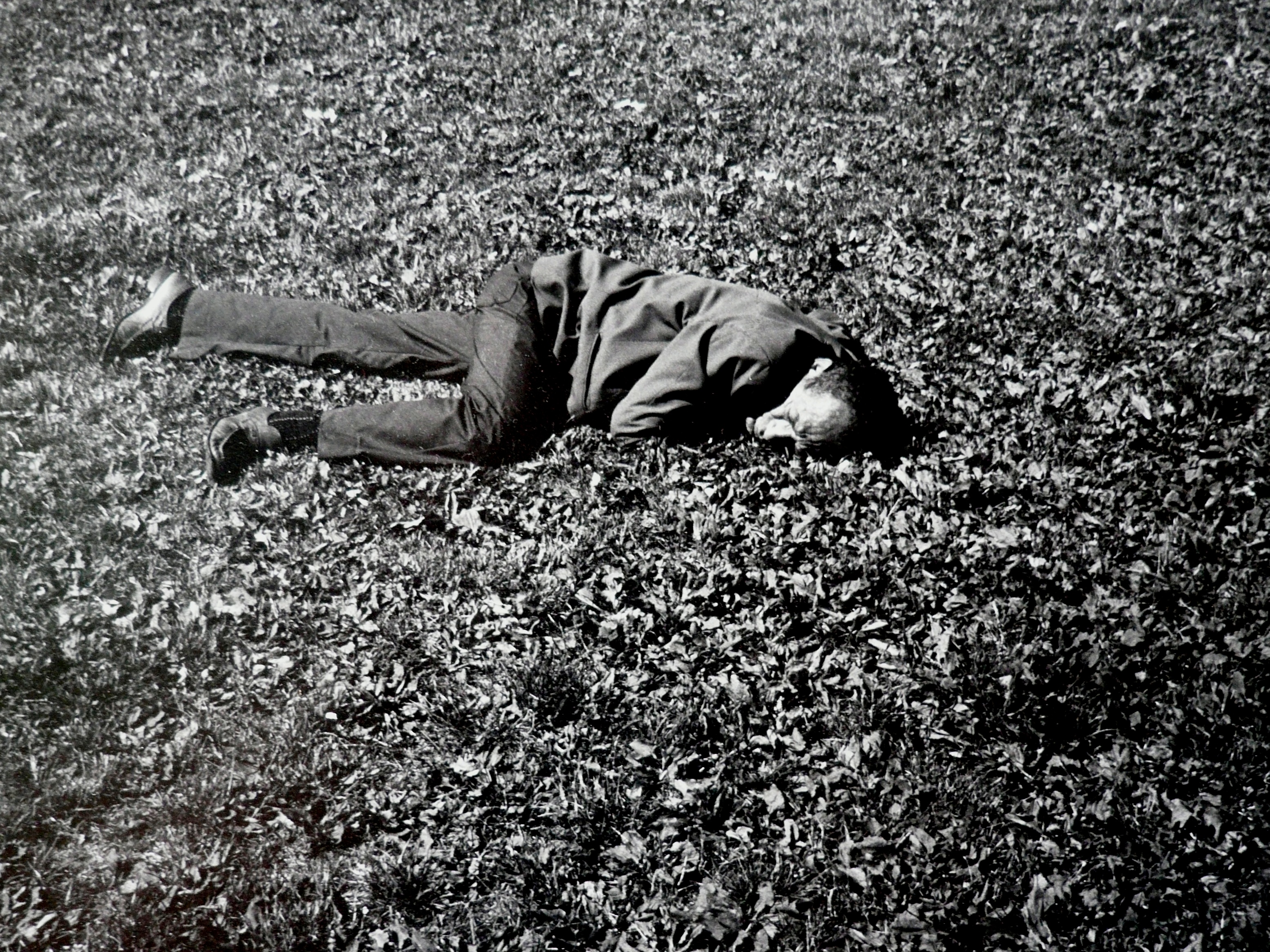 Fotografia di Mirko Albini articolo