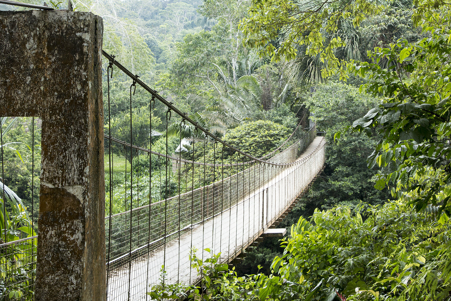 Puente Sarayaku.jpg