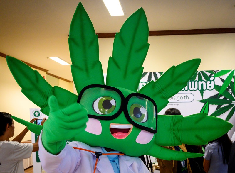 marijuana thailand
