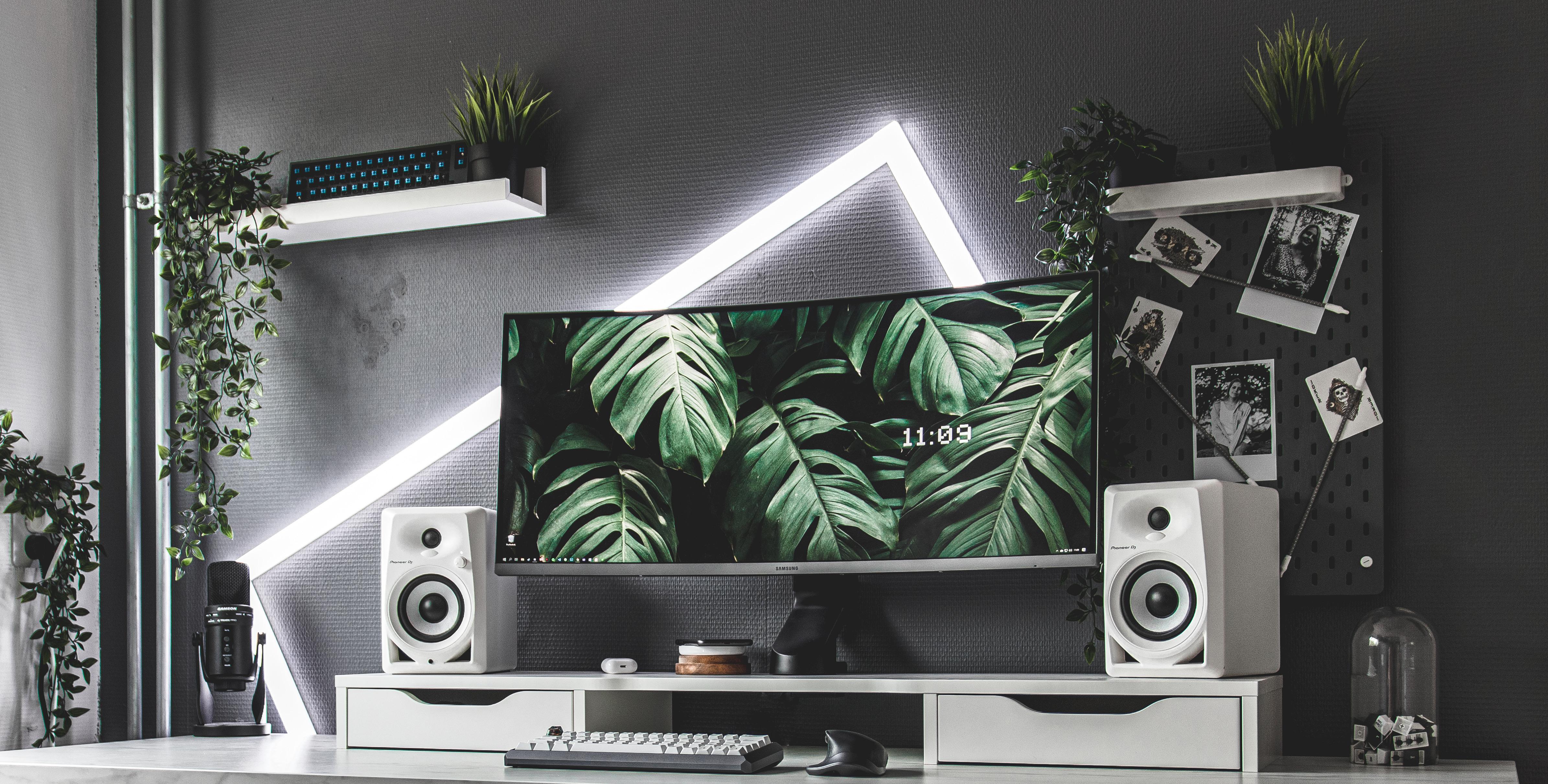A sharp white-and-black desktop setup with green plants as accents and a monitor desktop showing green plant fronds.