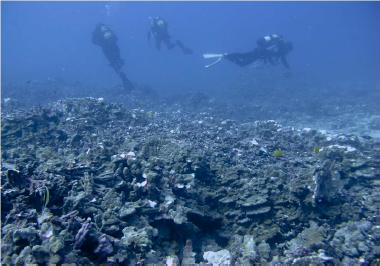 Divers from the Department of Aquatic Resources survey the damage in 2018. Photo courtesy of the Department of Land and Natural Resources of 