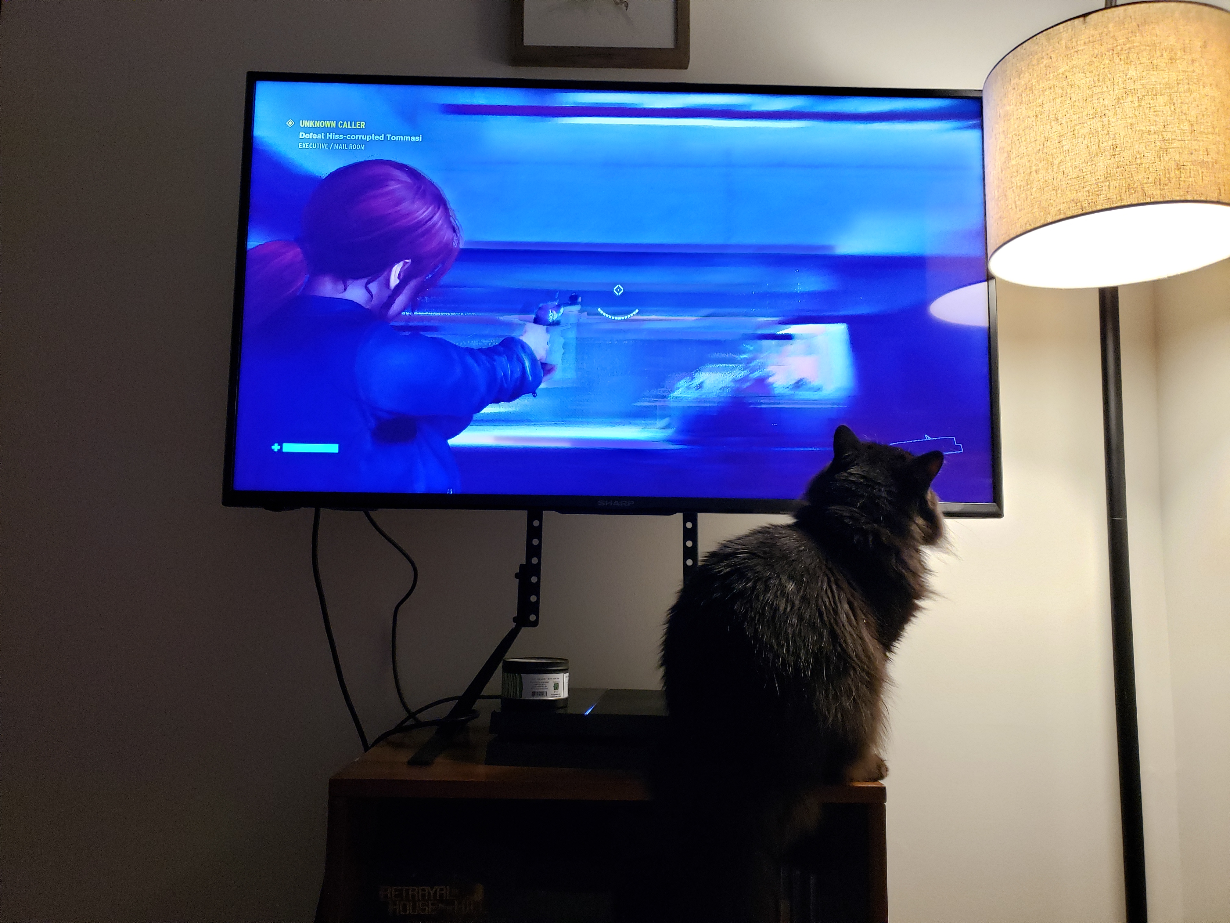 The author's cat, Graymalkin, inspects the game Control.