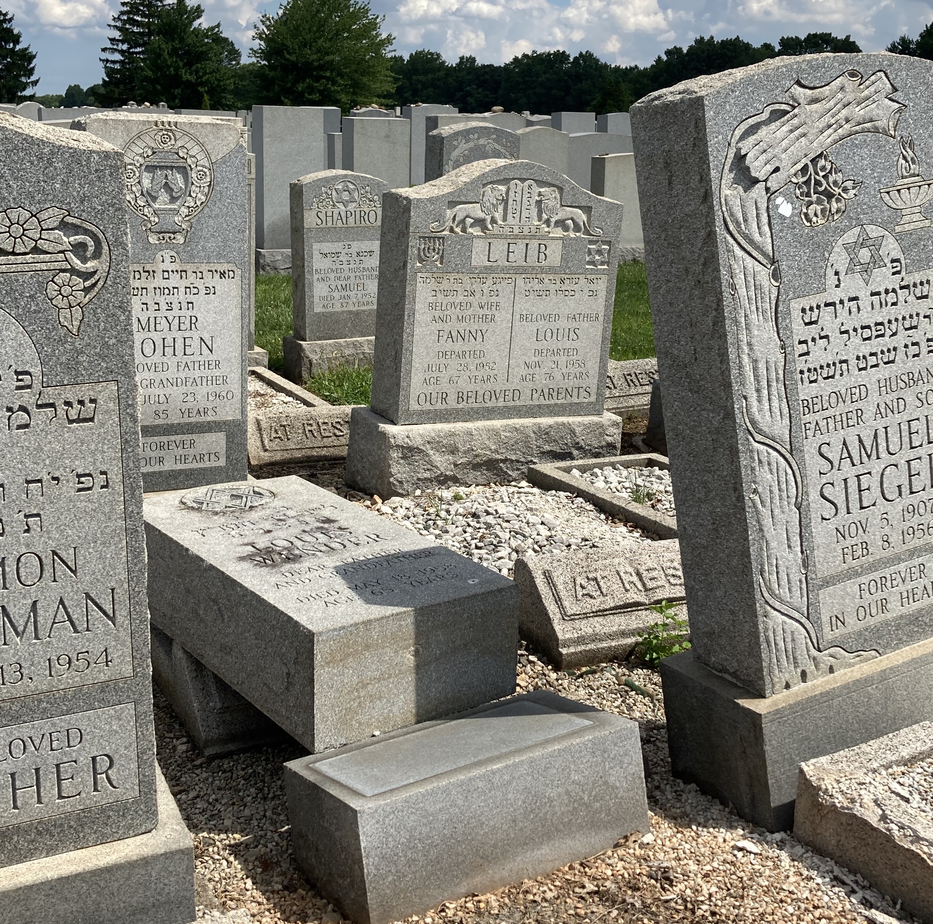  Beth Israel Cemetery