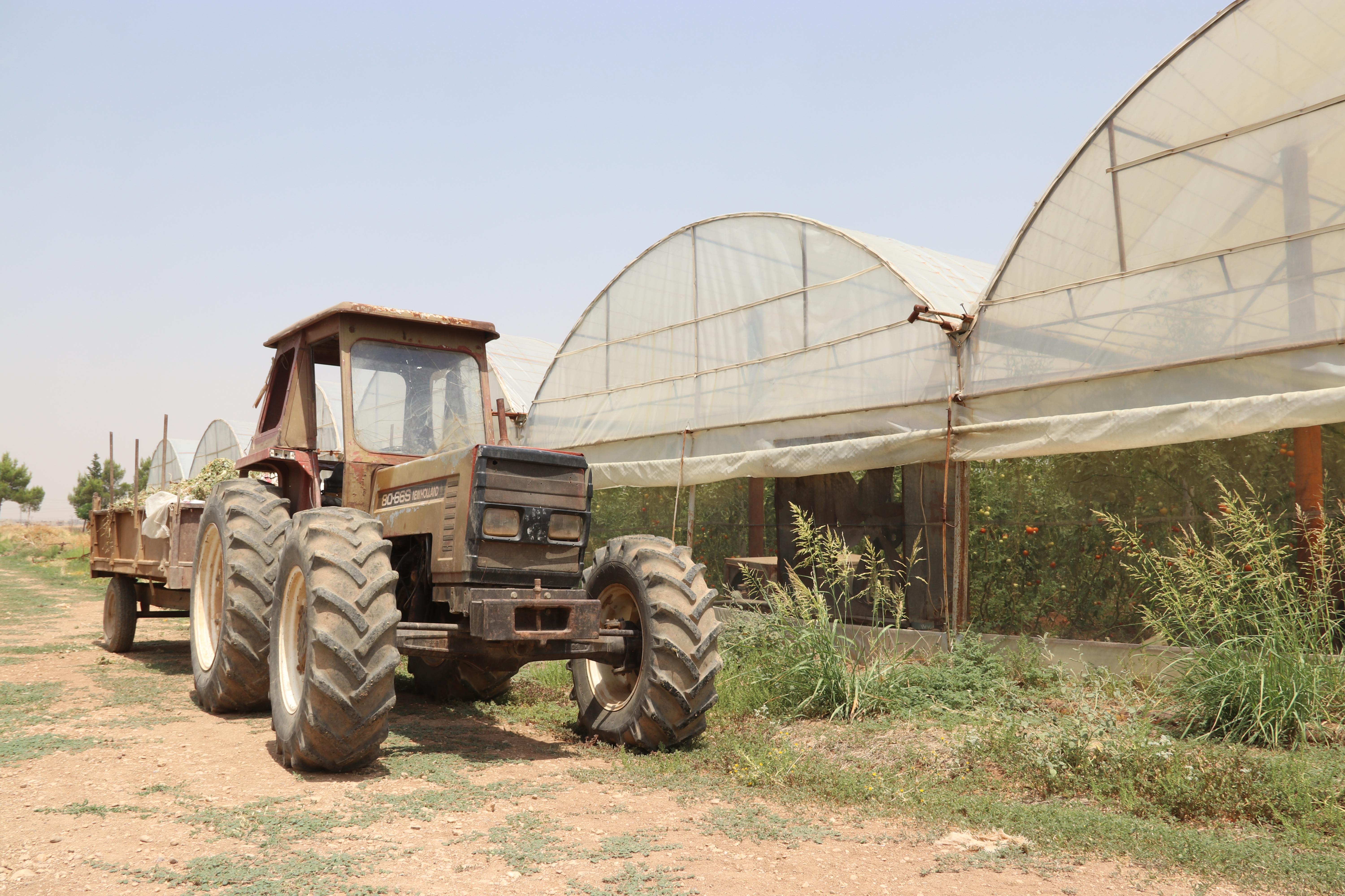 On the cooperative farm. 