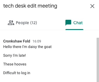 Daisy the goat, chatting in our meeting. 