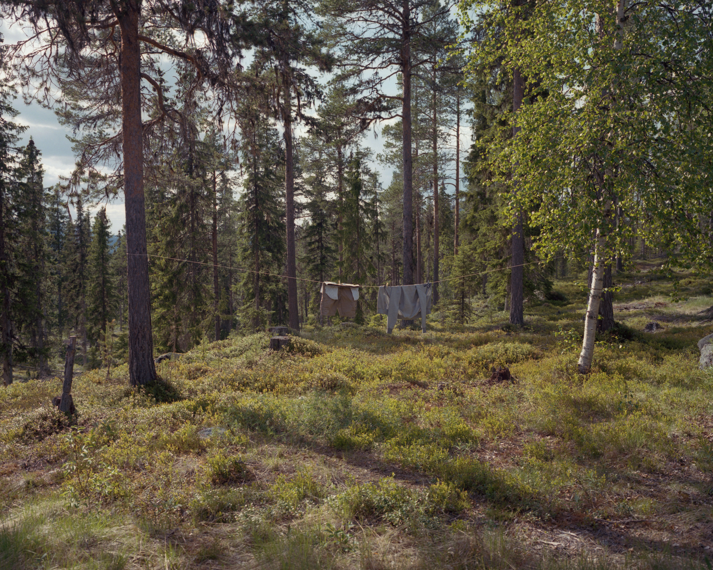 fotografie-roadtrip-svezia-Jacob-Balzani-Lööv