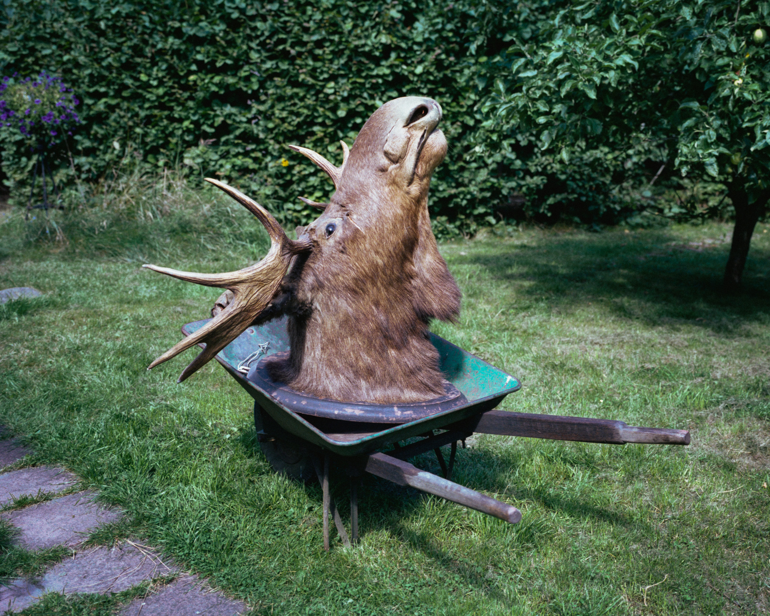 Blod_009.jpg