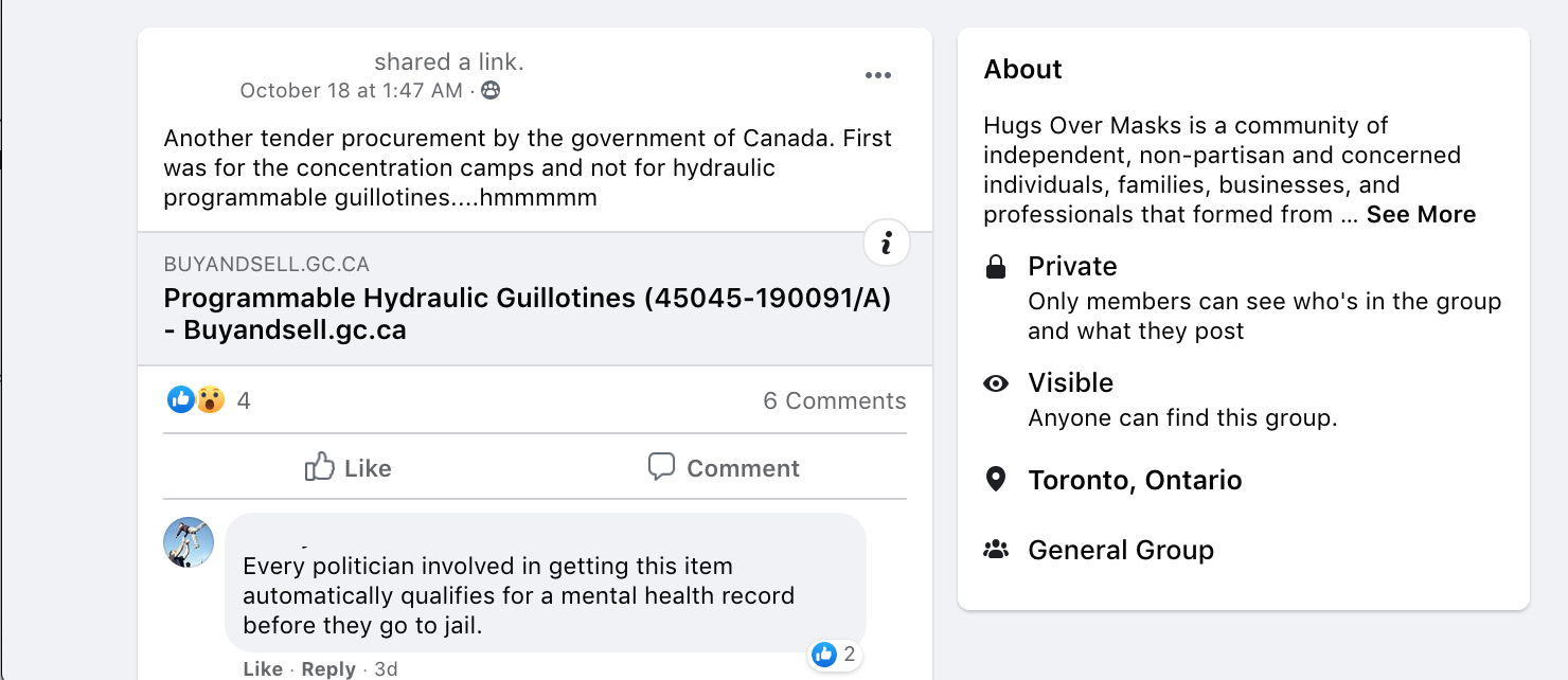 One of the many posts within the group relating to the COVID concentration camps conspiracy. Photo via screenshot.