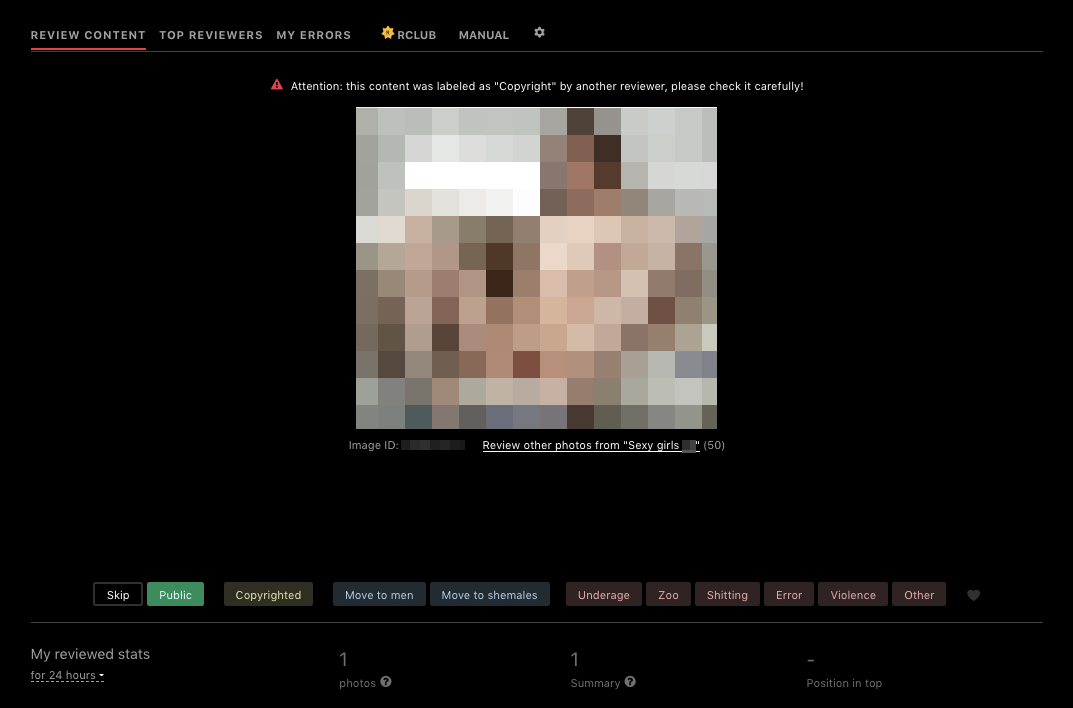 Screenshot der Konsole, über die die Löscharbeiter Fotos bewerten. In der Mitte ist ein von uns verpixeltes Foto zu sehen