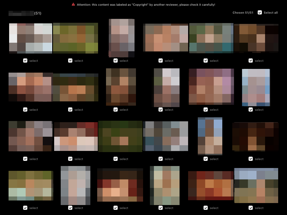 Screenshot der Lösch-Konsole mit vielen kleinen von uns verpixelten Fotos, die alle mit einem Haken versehen sind