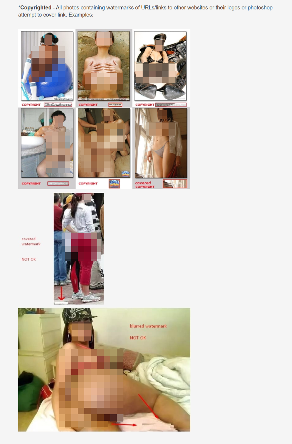 Der von uns verpixelte Screenshot zeigt Beispiele von Nacktfotos mit Logos anderer Websites