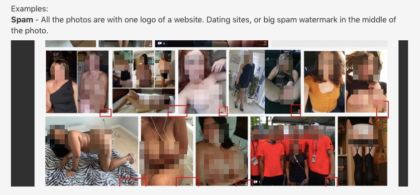 Der von uns verpixelte Screenshot zeigt Nacktfotos mit Logos anderer Websites