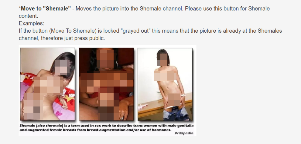 Der von uns verpixelte Screenshot zeigt Nacktfotos, die xHamster in die Kategorie 