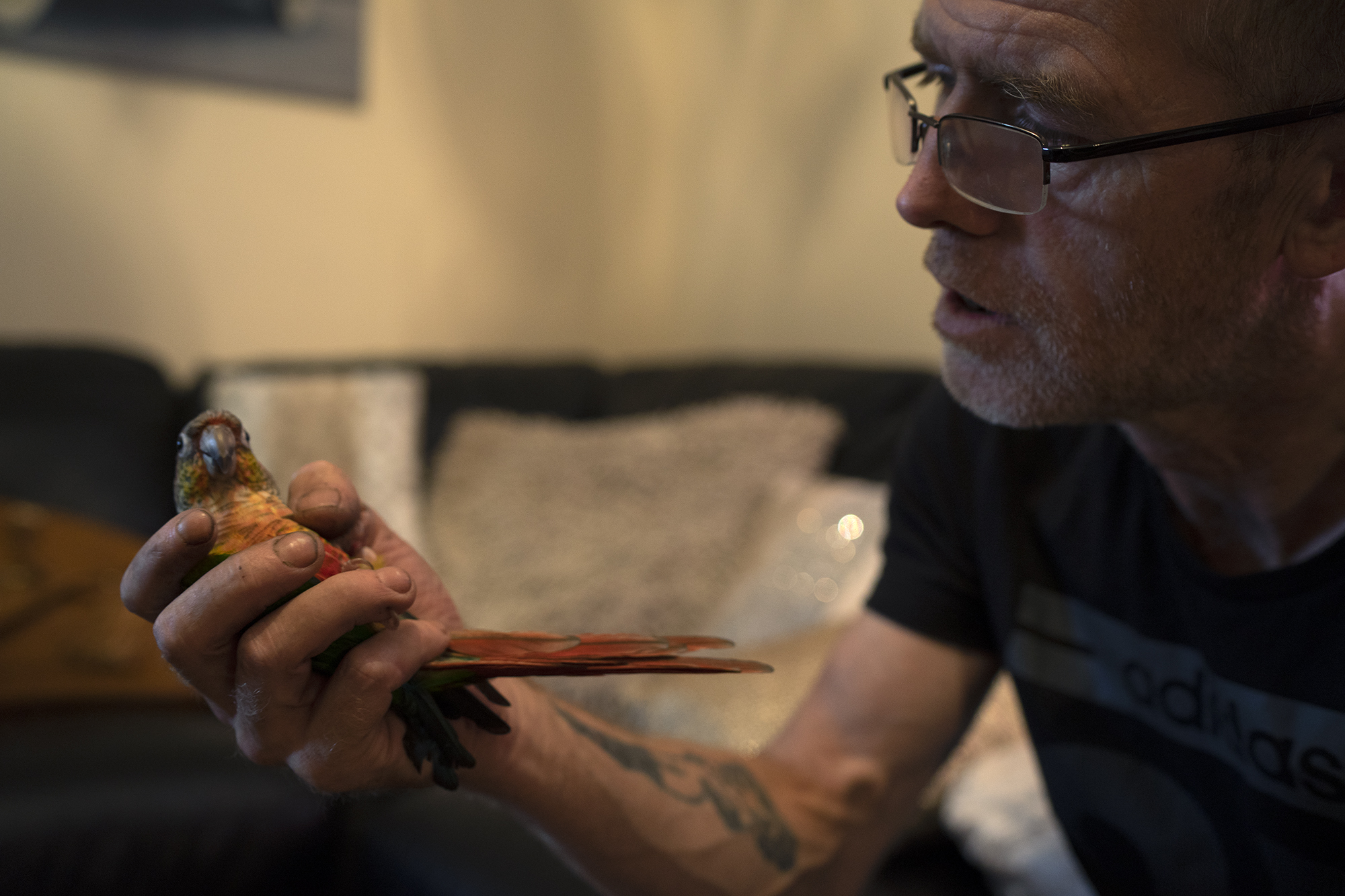 the-budgie-died-instantly-reportage-fotografico-emarginati-outsider