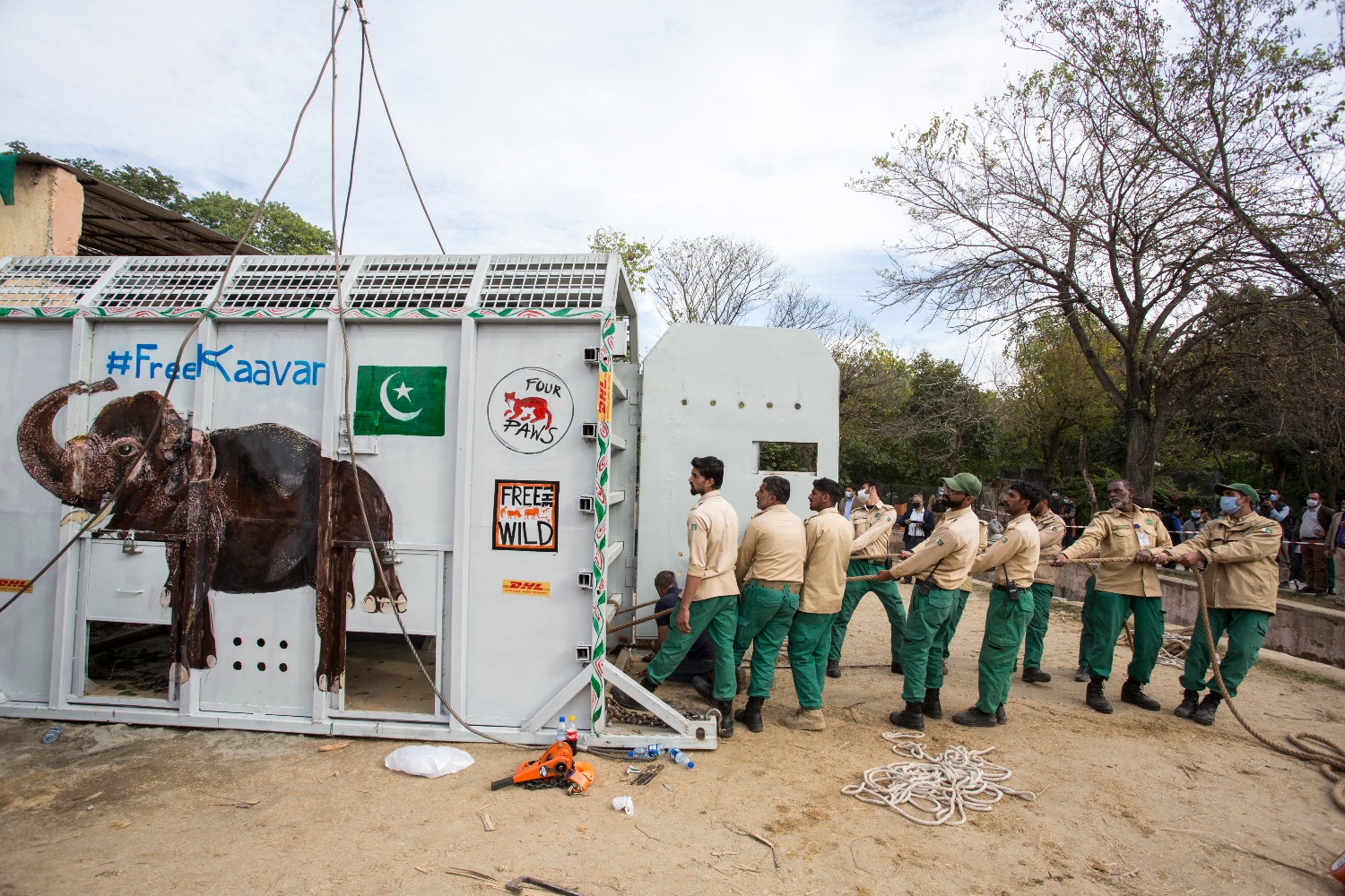 Kaavan the elephant