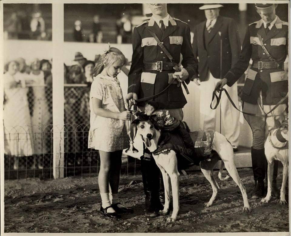 Mary Margaret Winning, at 8 years old, presents a trophy to the monkey-jockey that won on the back of that greyhound in 1933. There are peanuts in the trophy for the monkey