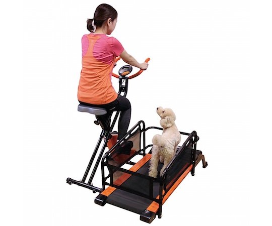 dog exercise bike.jpg