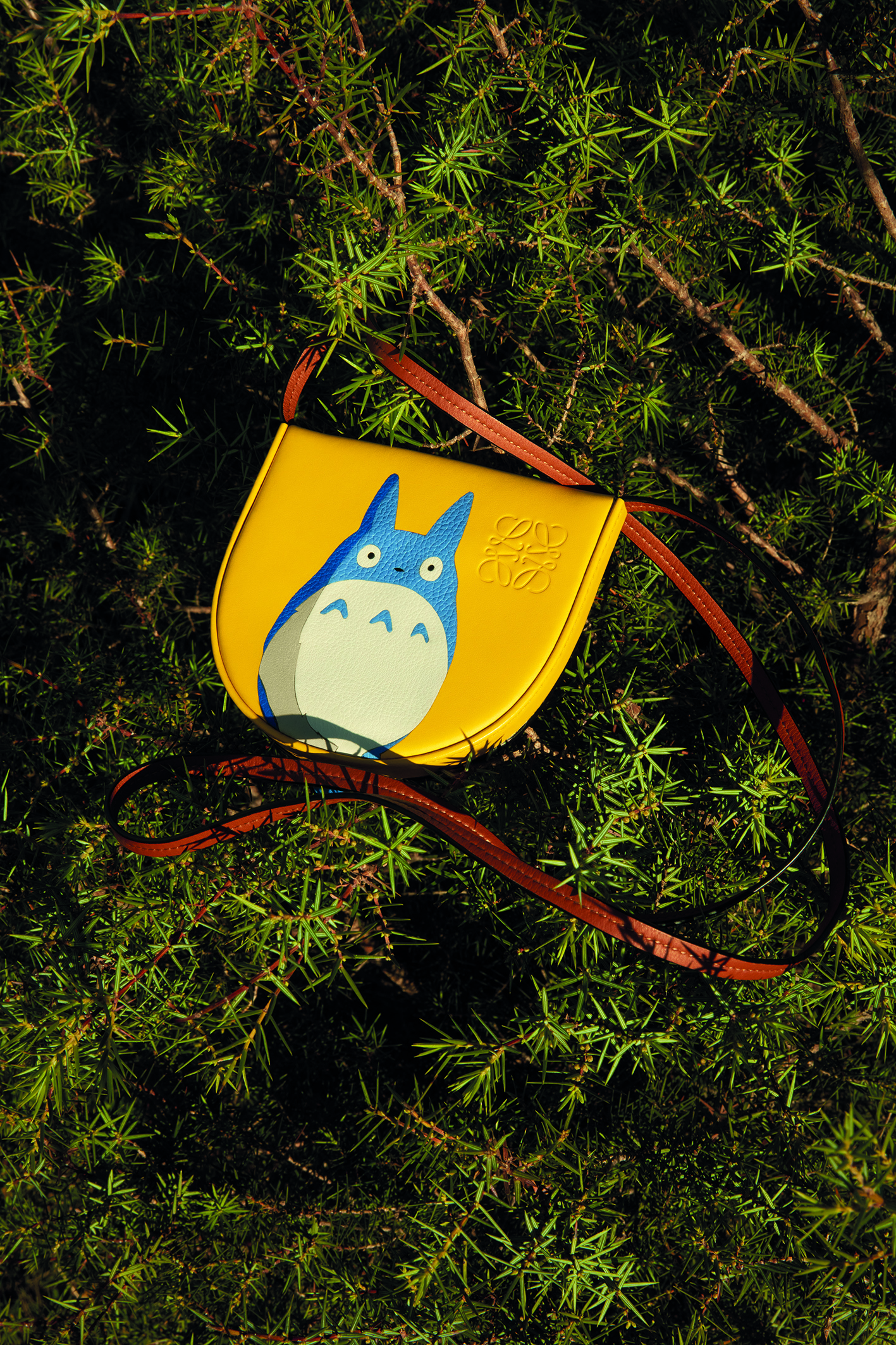 LOEWE x My Neighbor Totoro capsule collection