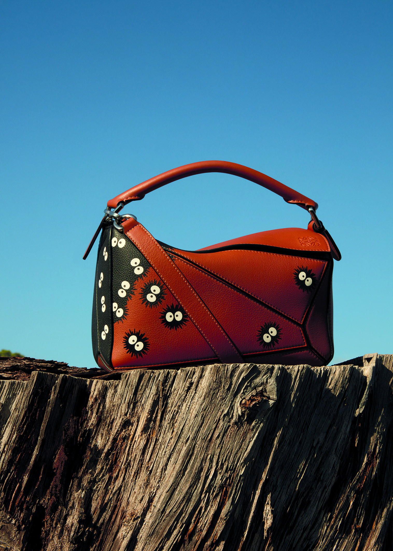 LOEWE x My Neighbor Totoro capsule collection