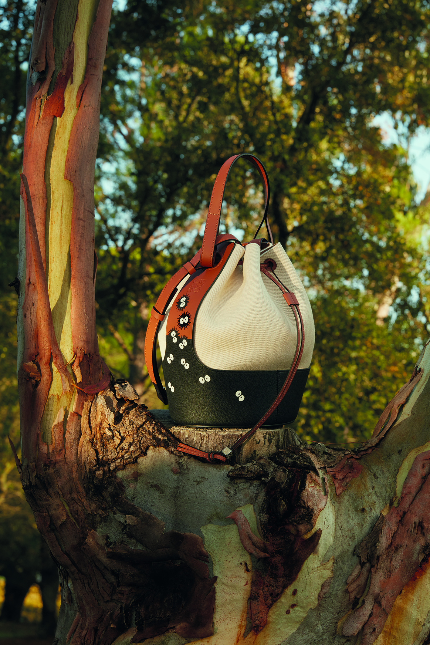 LOEWE x My Neighbor Totoro capsule collection