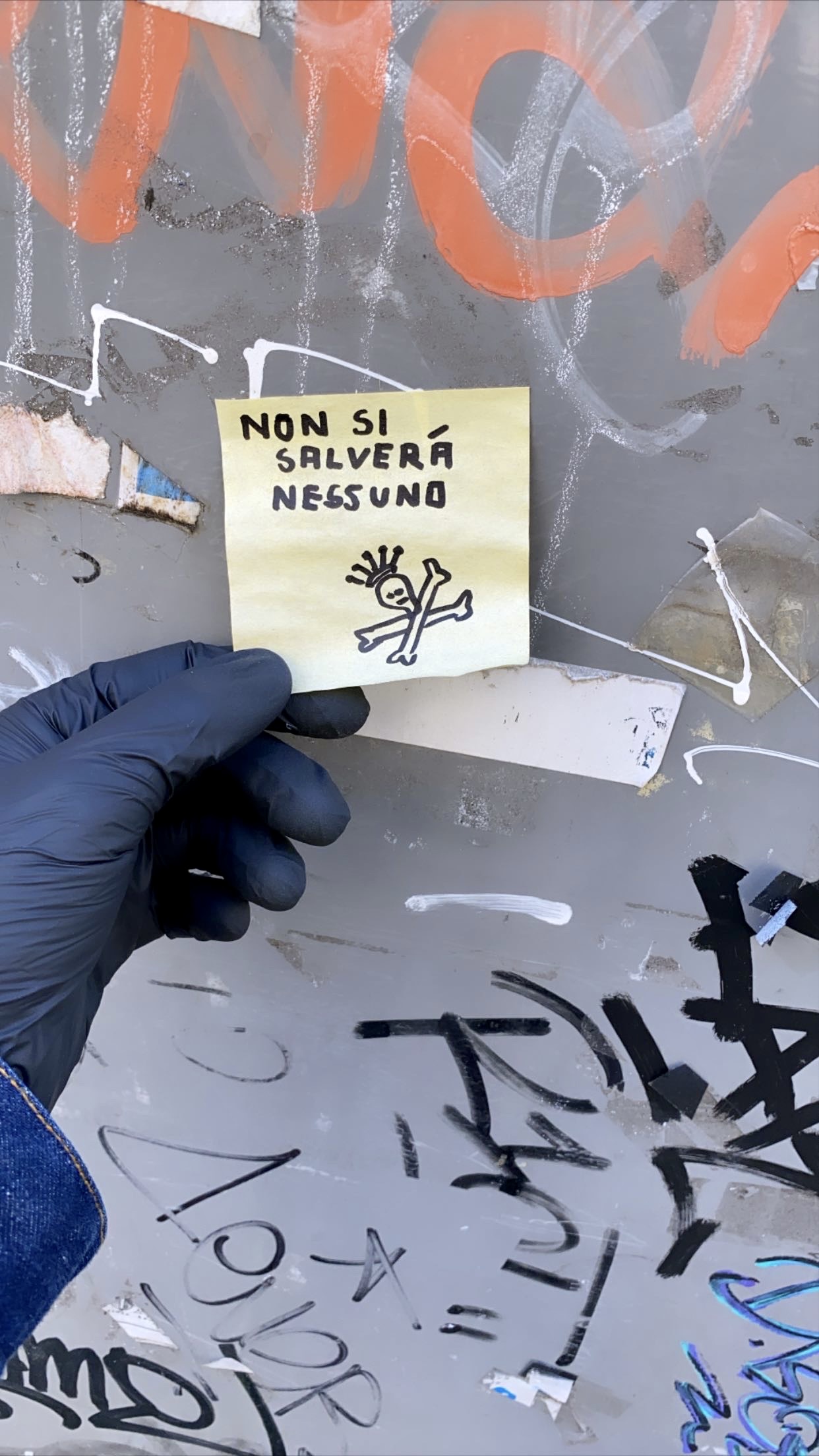 Post it Rosario Rex Di Salvo 2020