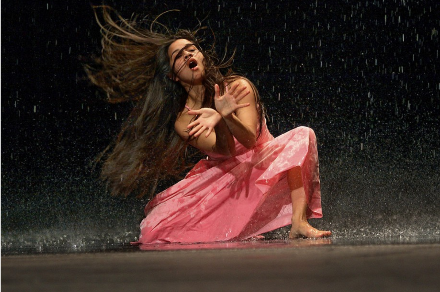 @l'héritage de Pina Bausch.png