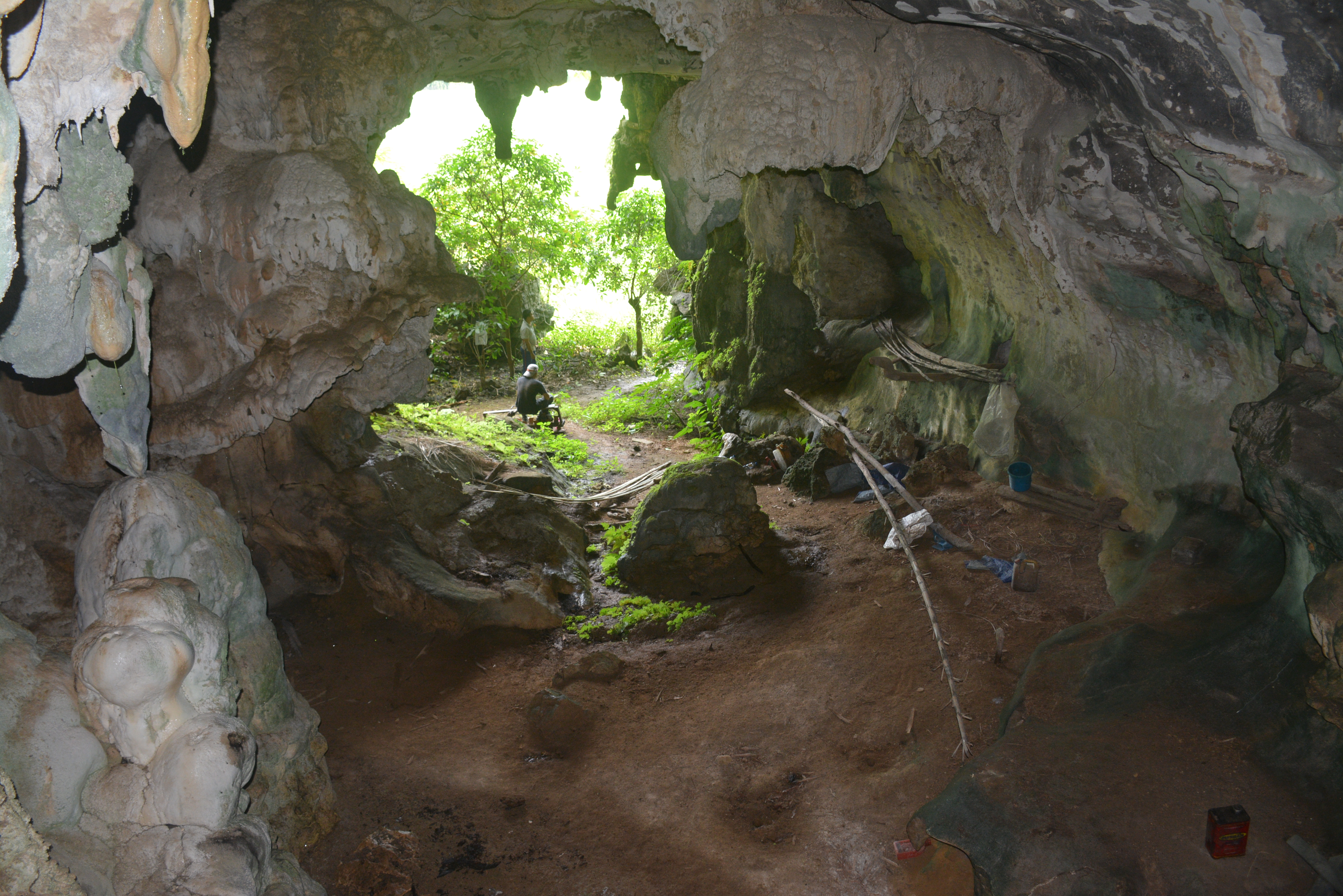 Leang Tedongnge cave mouth_credit AA Oktaviana.JPG