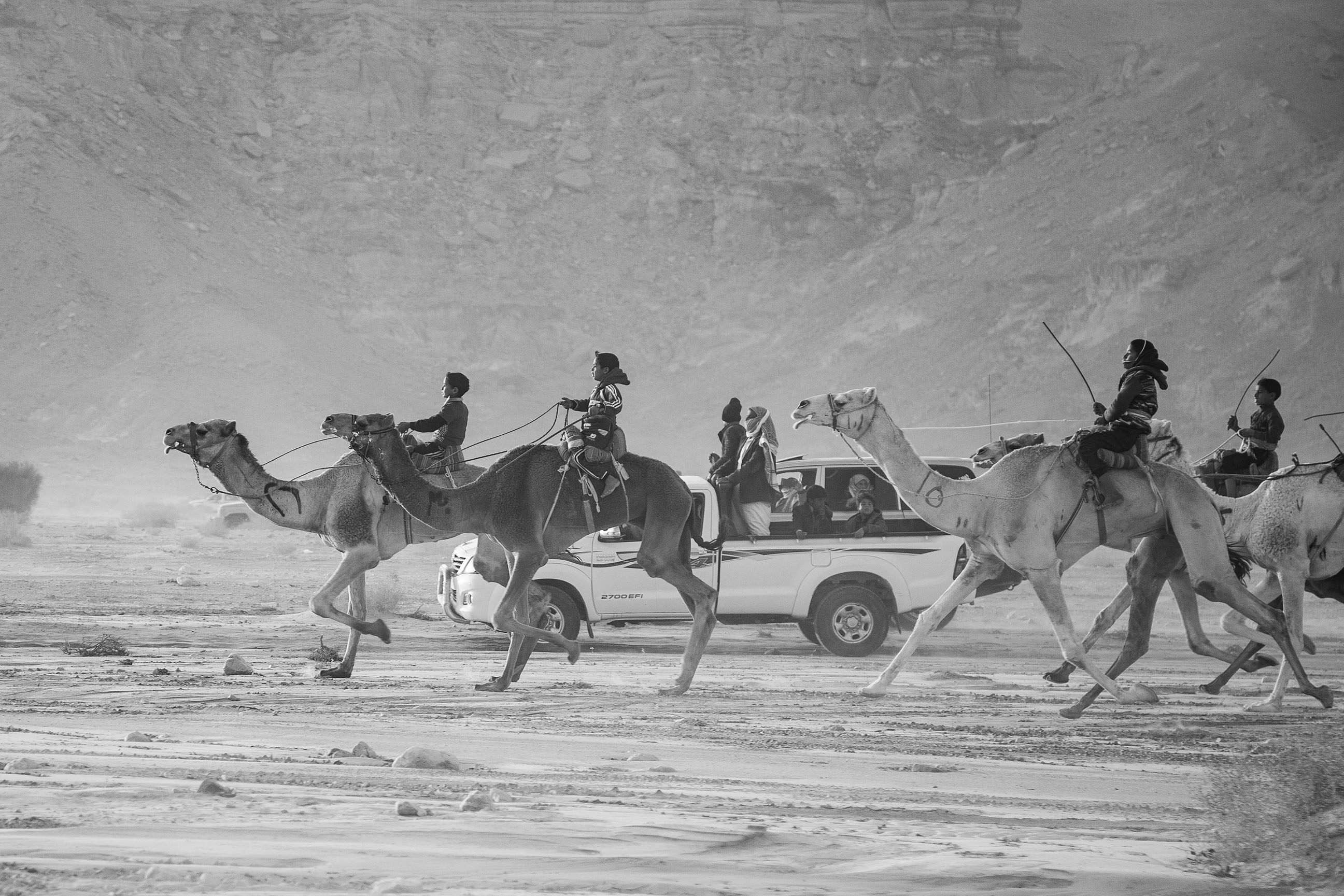 The Wadi Zalaqa Camel Race In Egypt