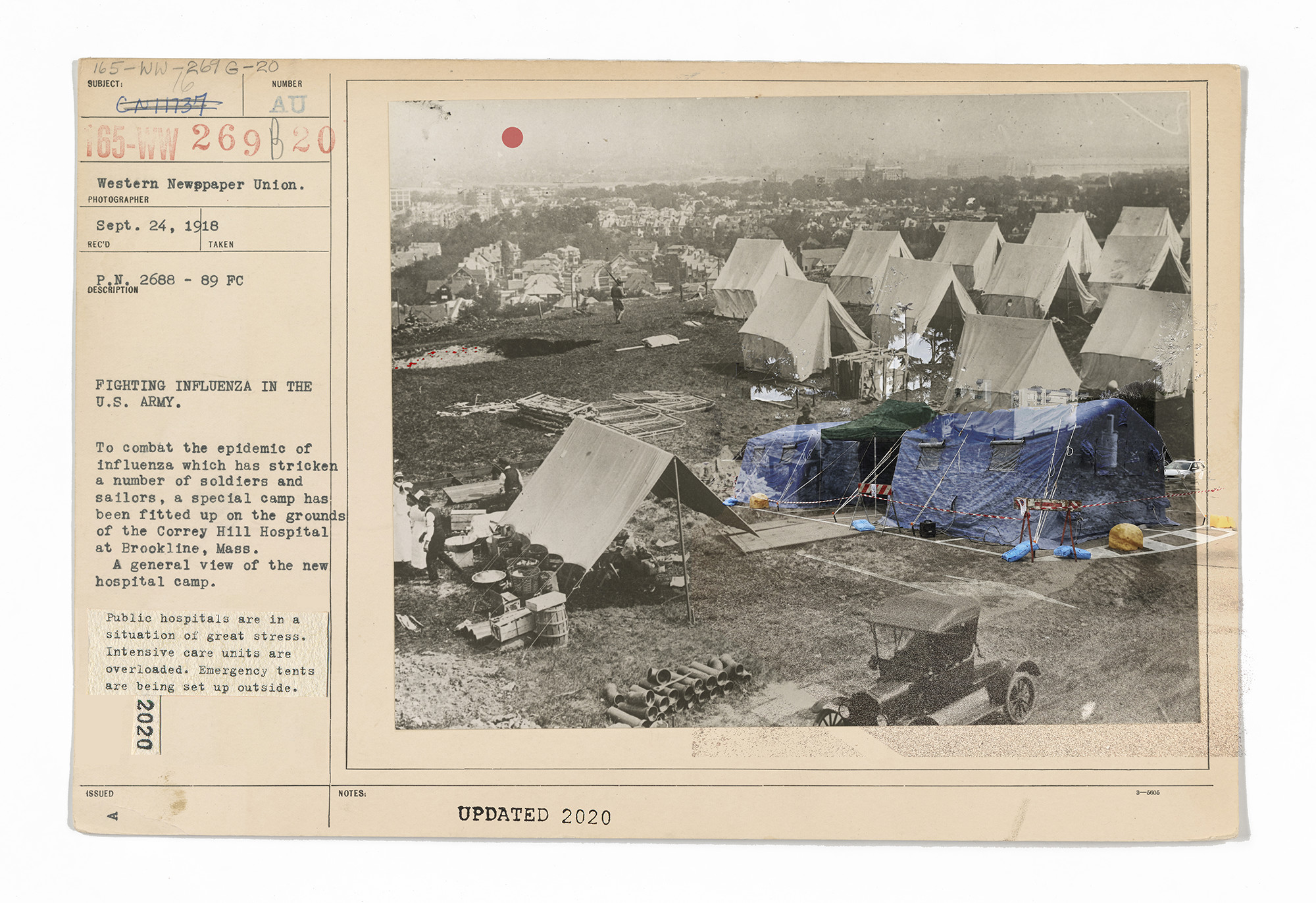 pandemic postcards nicola bertasi