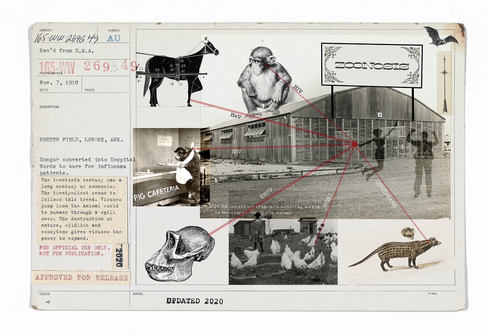 pandemic postcards nicola bertasi