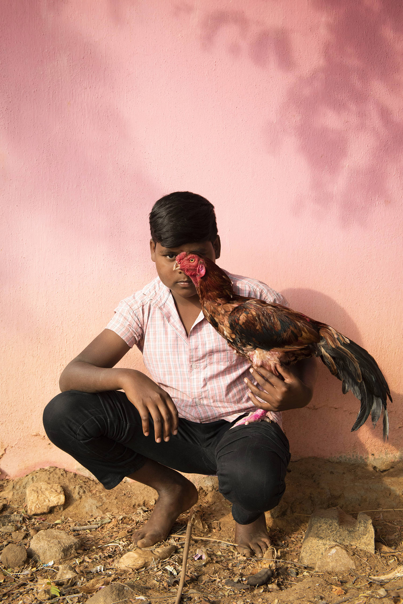 Nishanth Radhakrishnan Palm* Photo Prize