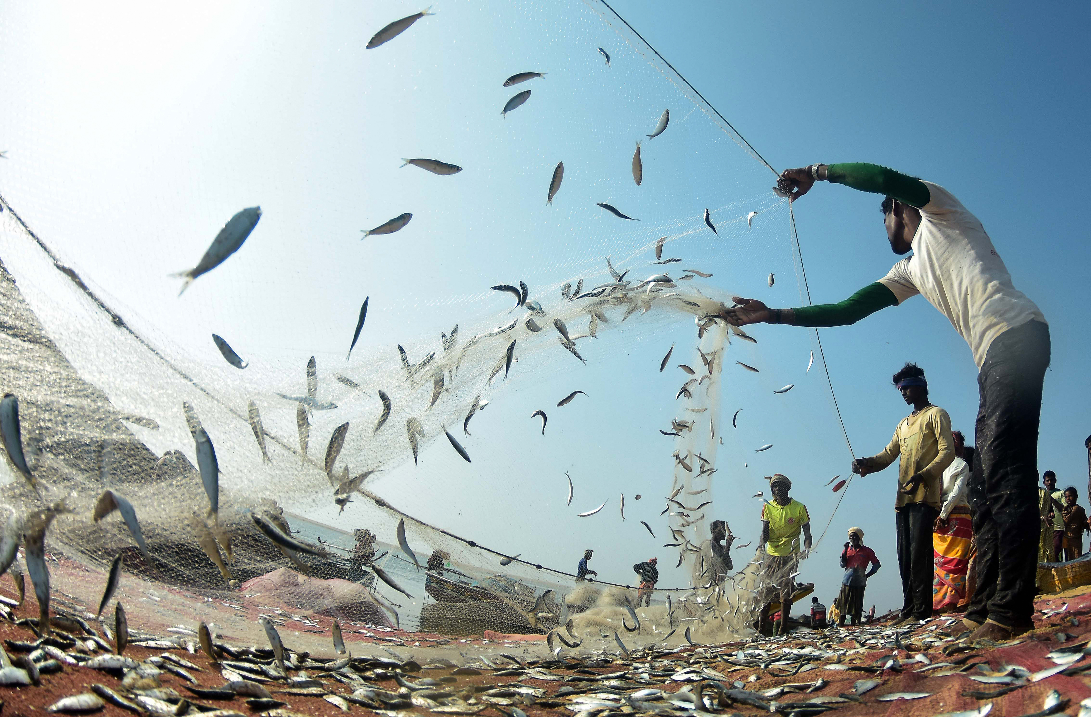 Fishermen Caught in India-Pakistan Conflict