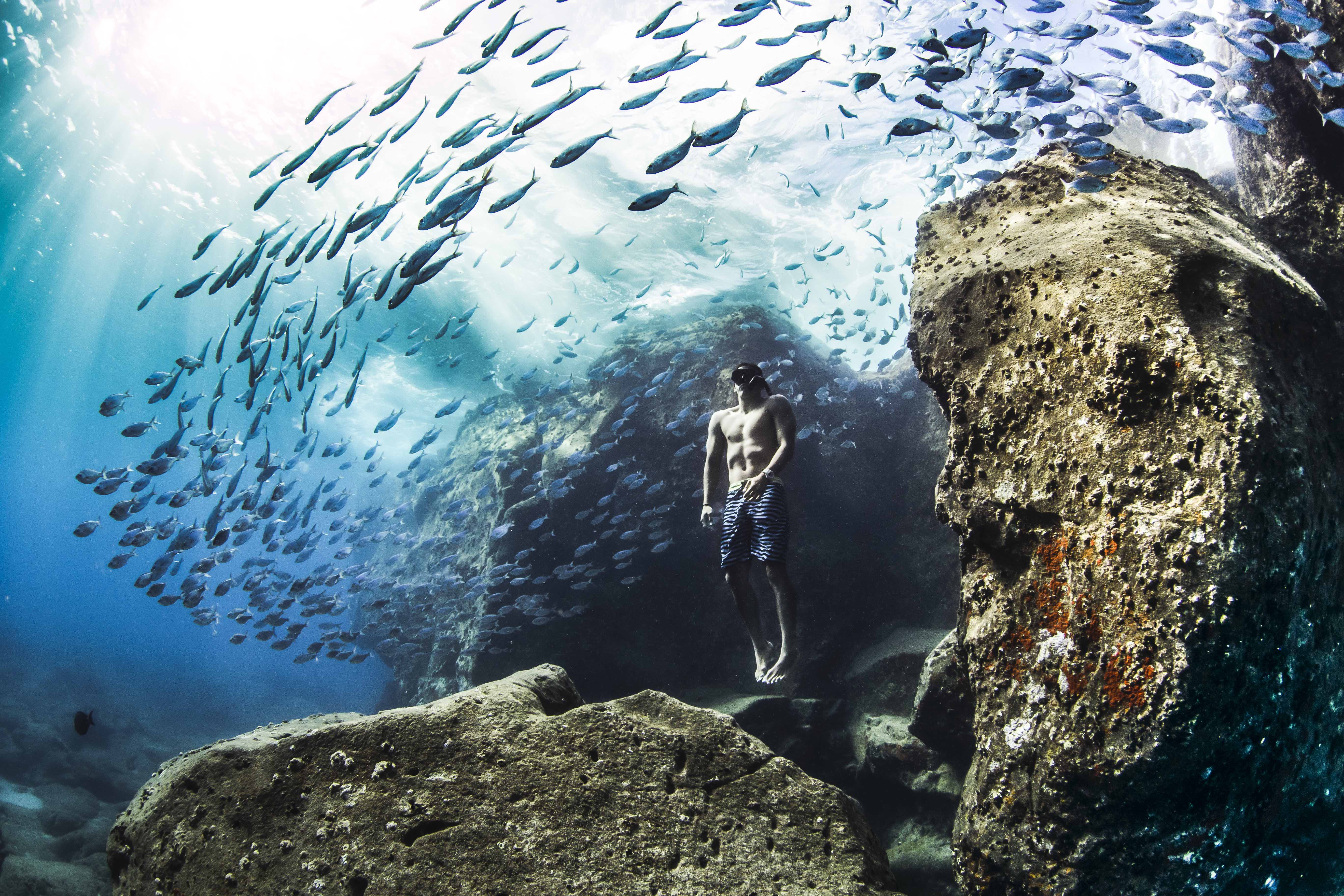 Kawanan ikan berenang di sekeliling fotografer